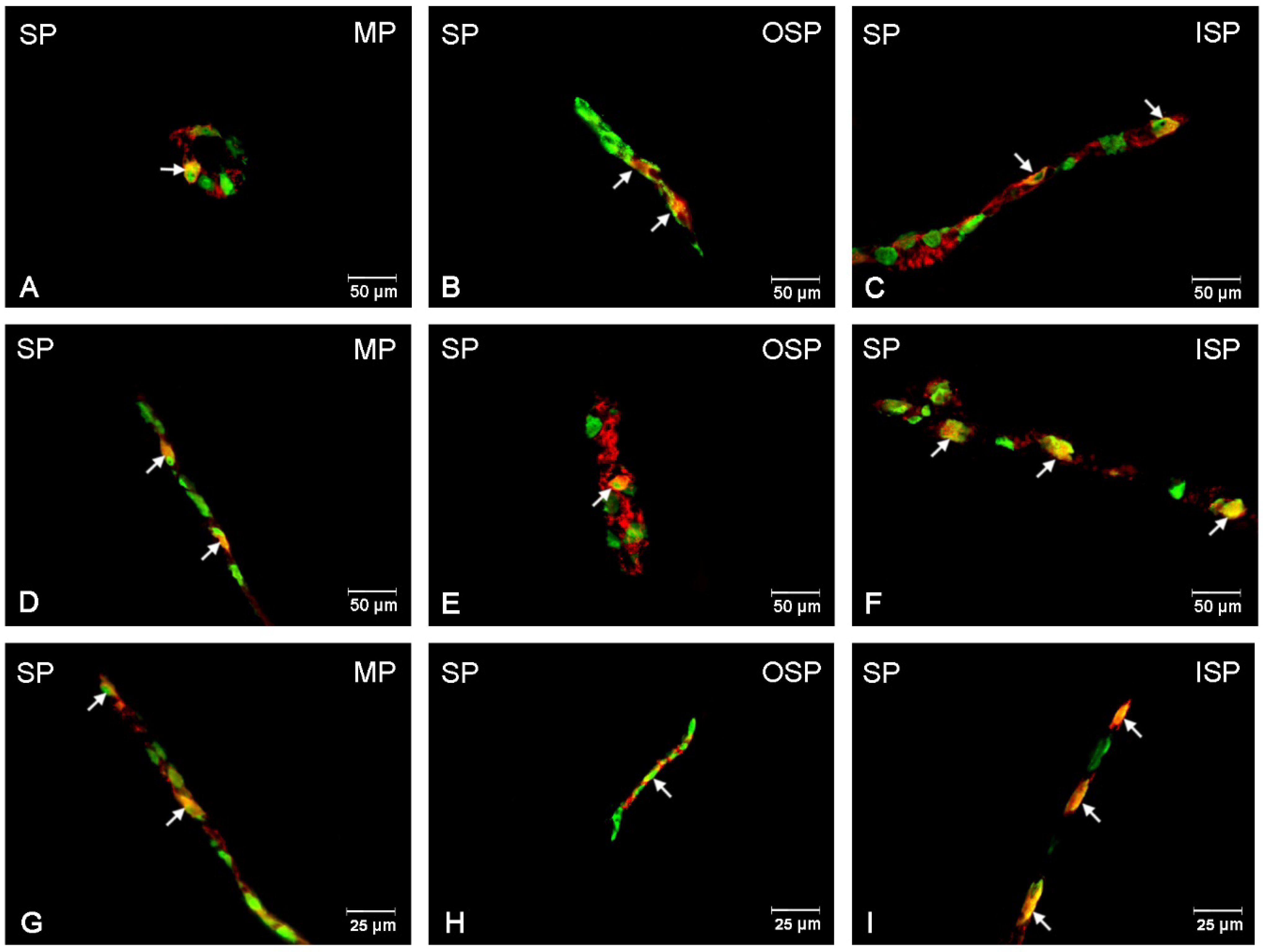 Ijerph 19 14514 g010