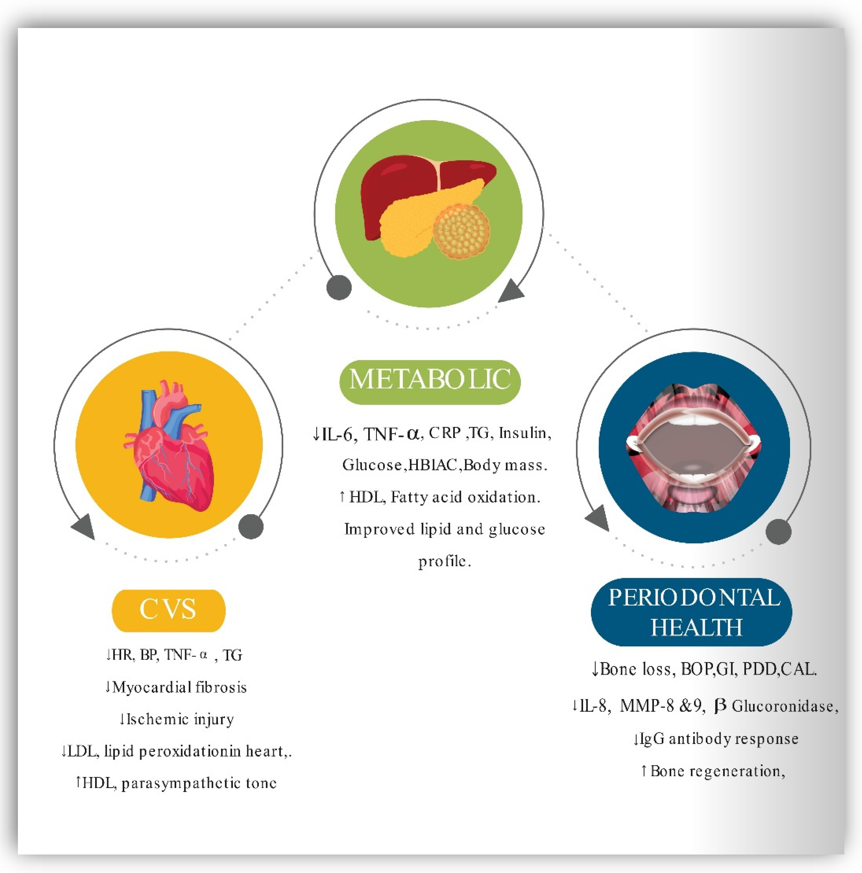 IJERPH Free Full Text Impact Of Intermittent Fasting On Metabolic ijerph-free-full-text-impact-of-intermittent-fasting-on-metabolic
