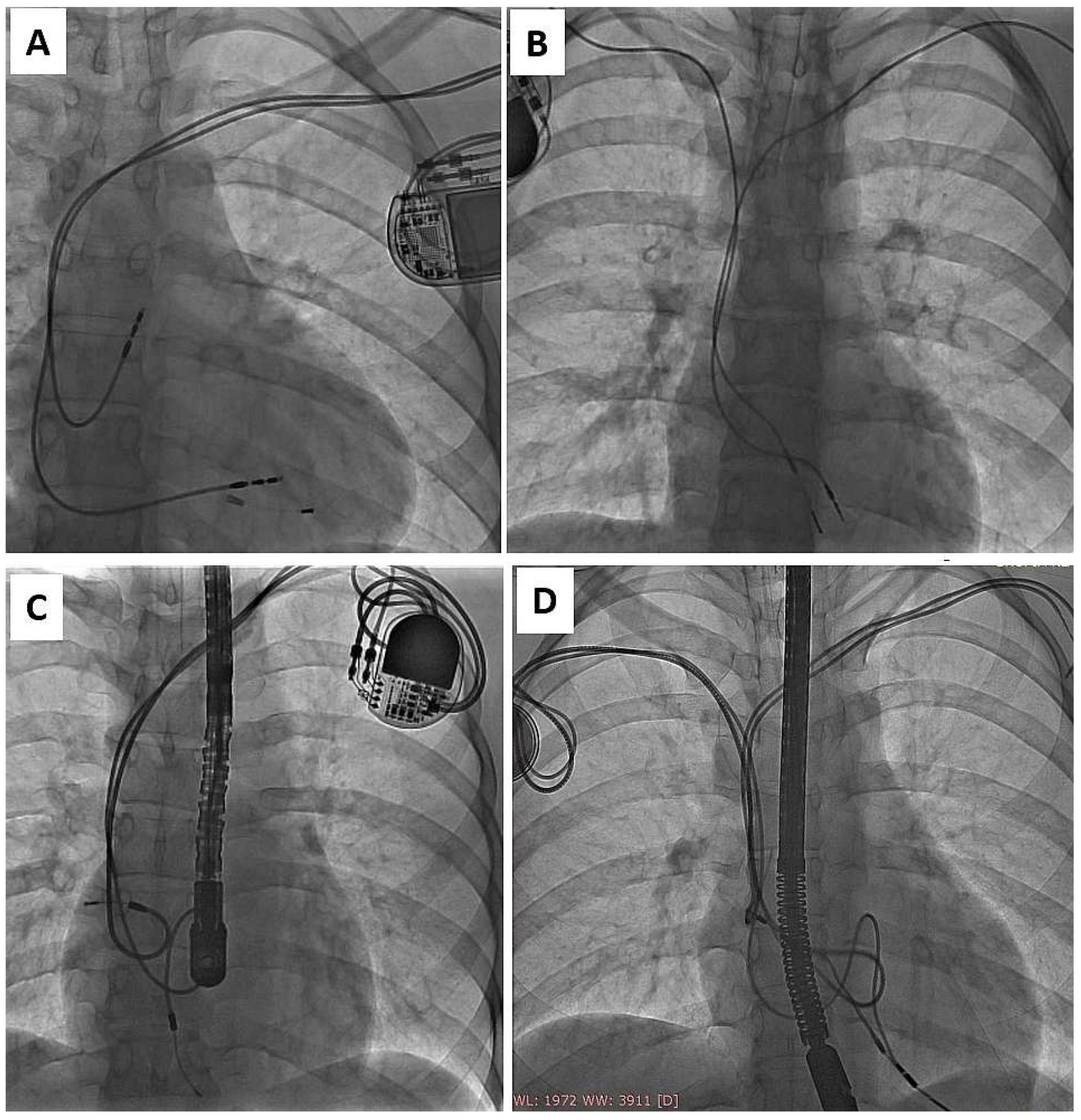 Ijerph 19 14594 g003