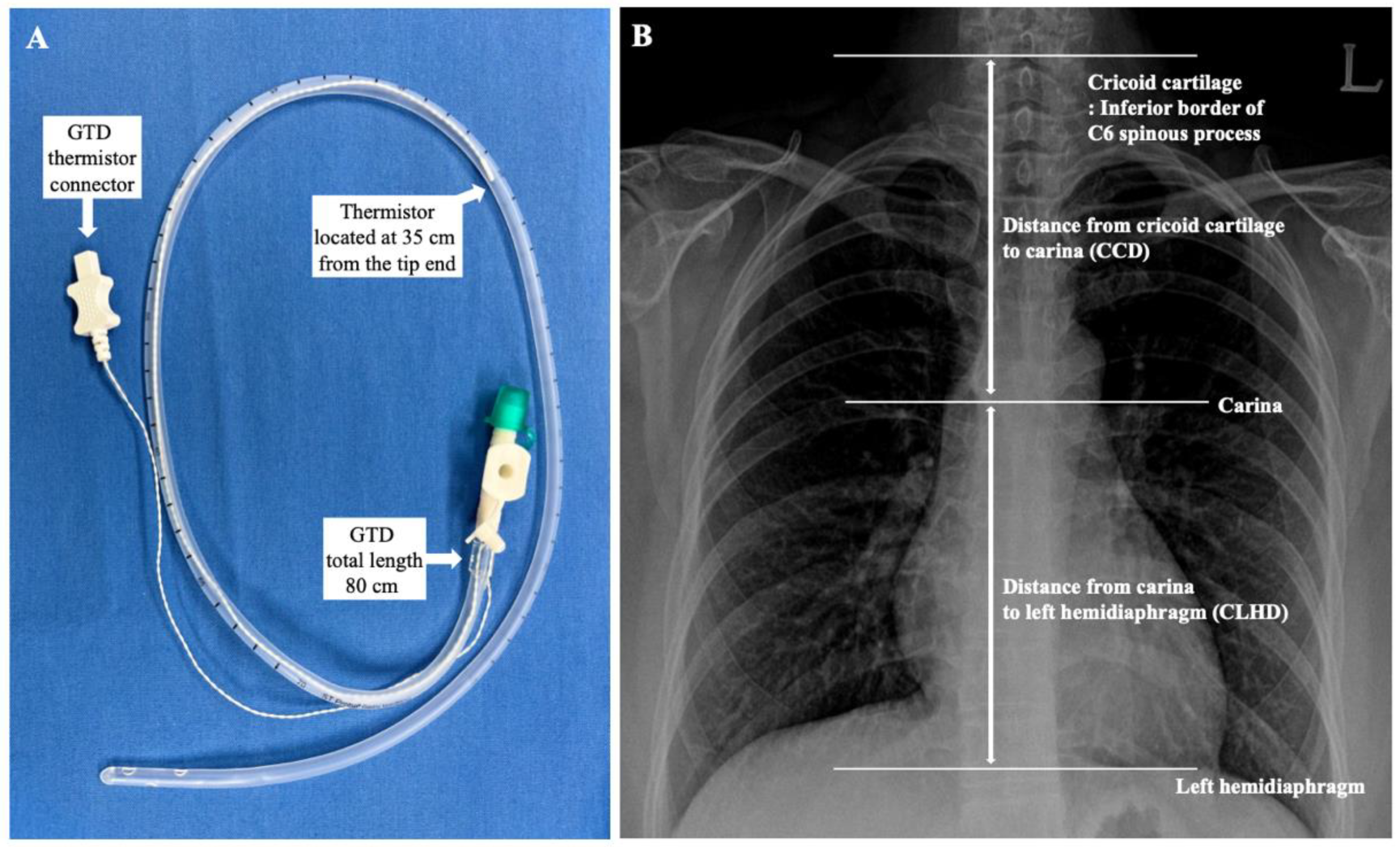 Ijerph 19 14708 g001