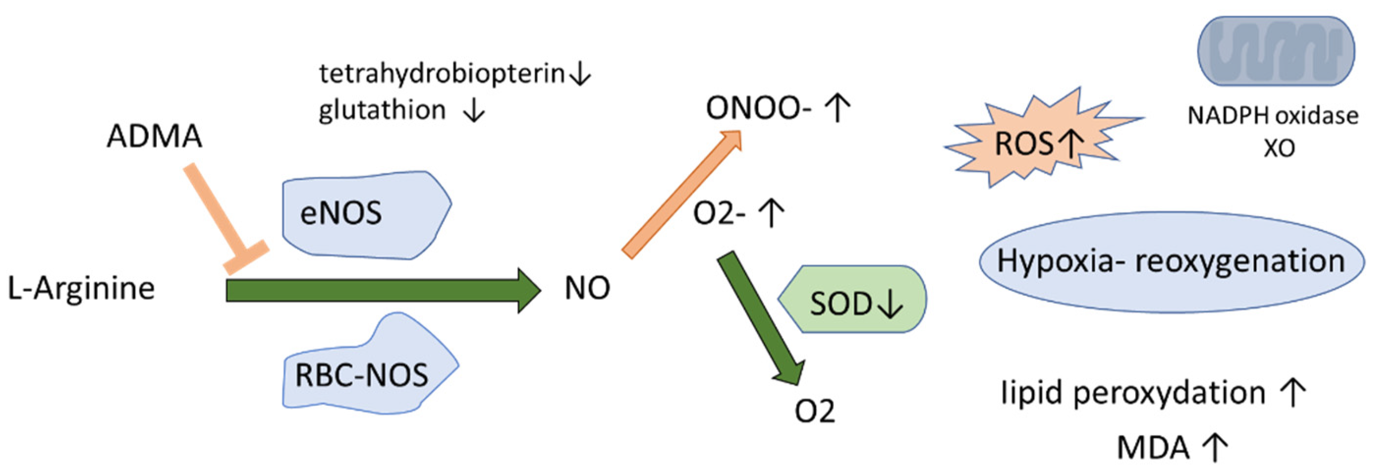 Ijerph 19 14719 g001