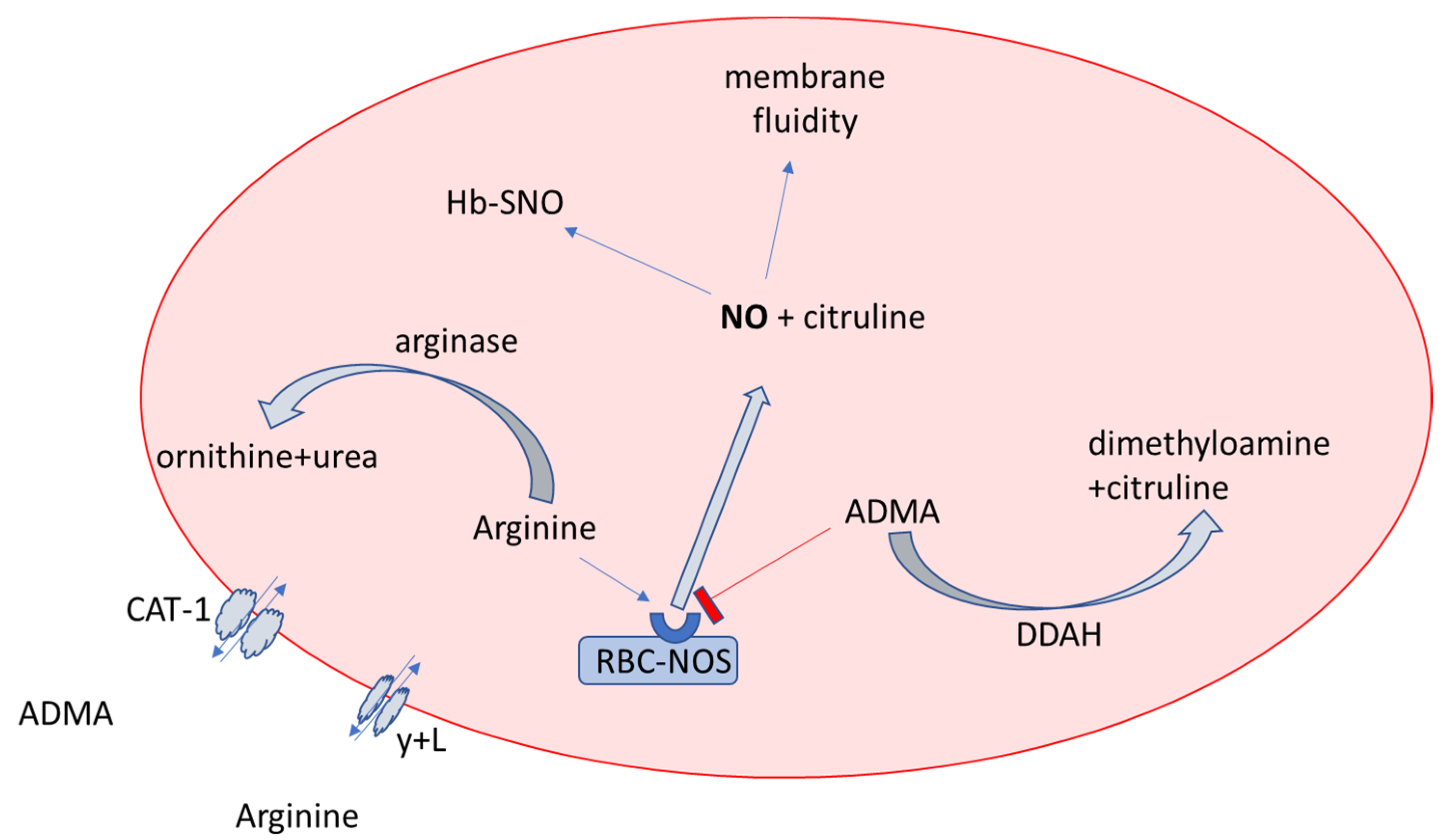 Ijerph 19 14719 g008