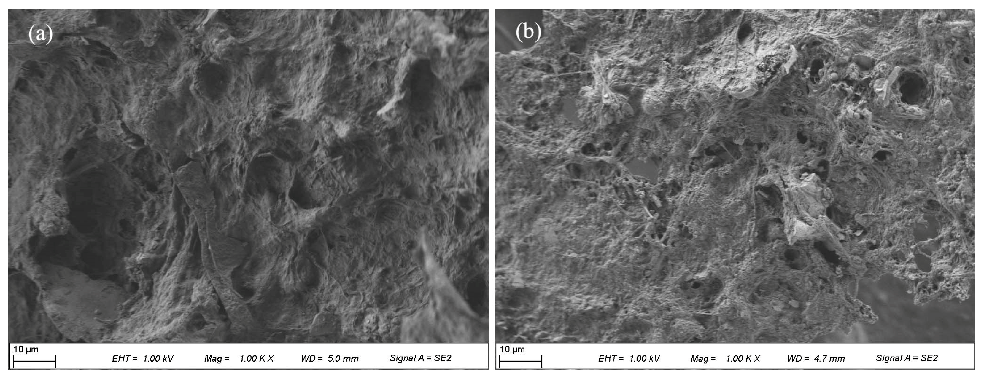 Ijerph 19 14726 g006