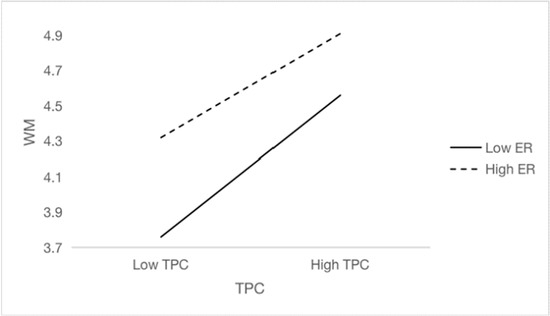 How Does Teachers' Psychological Capital Influence Workplace