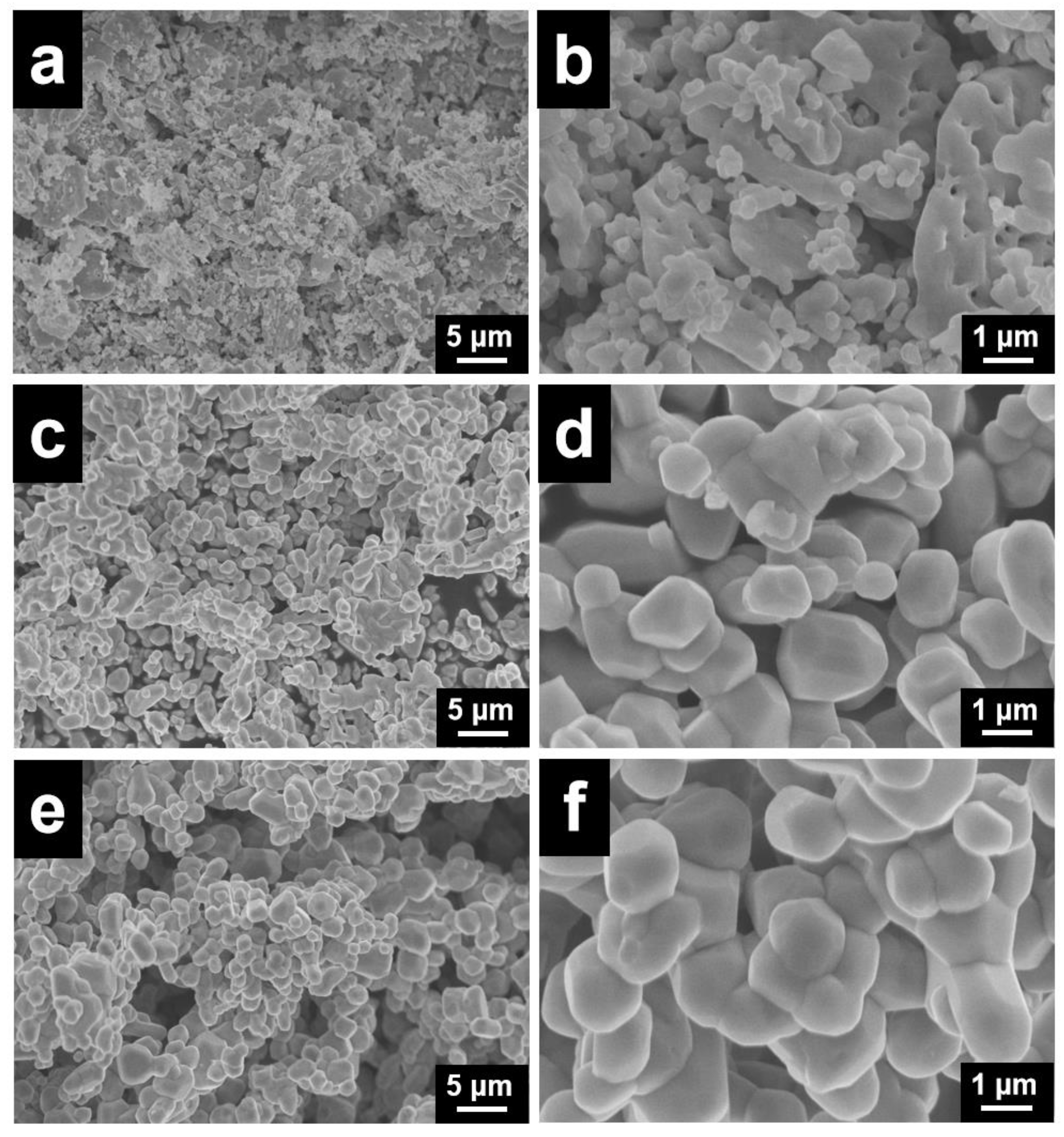 Ijerph 19 14737 g003