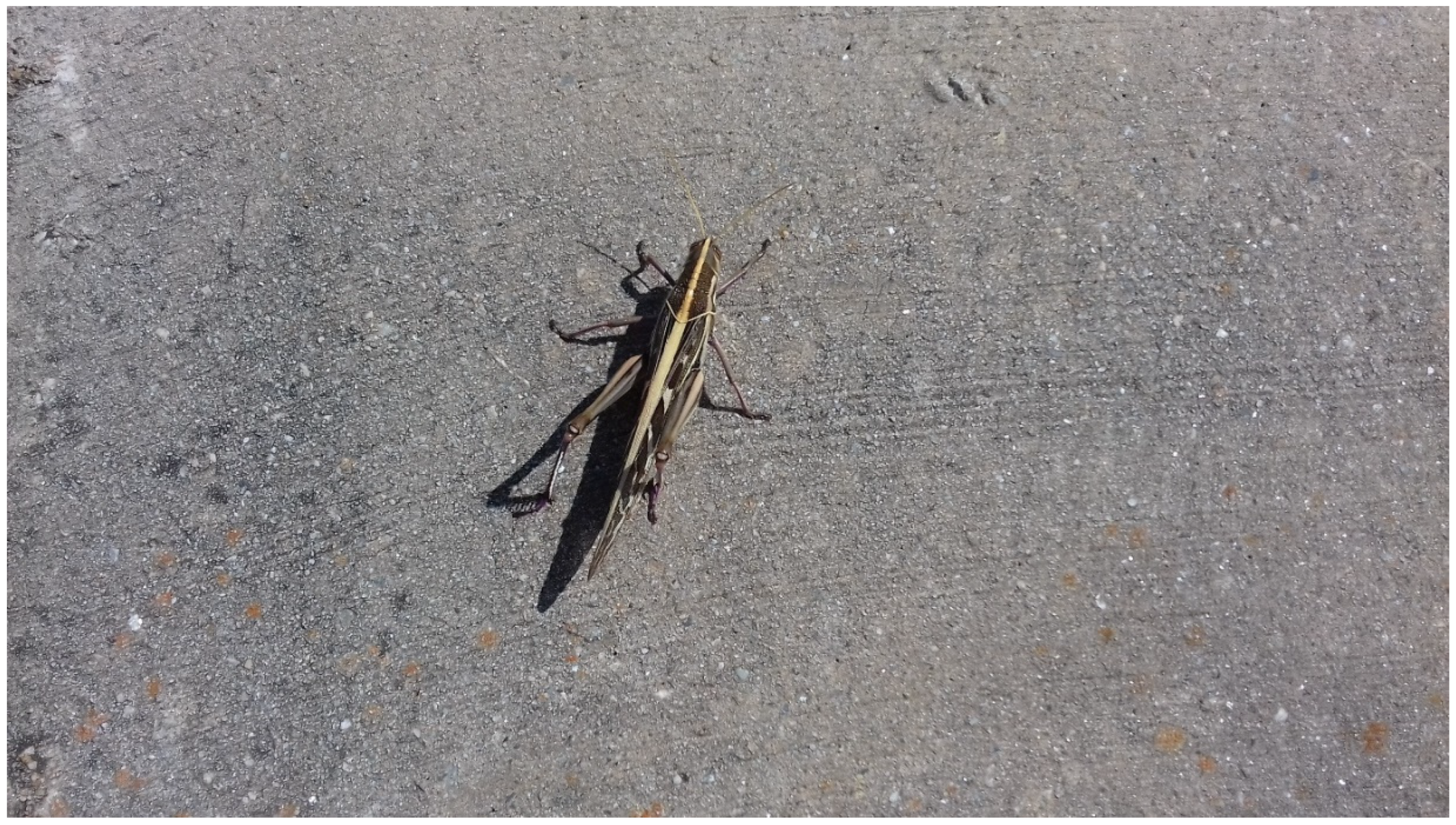 Ijerph 19 14823 g002 Ijerph 19 14823 g002