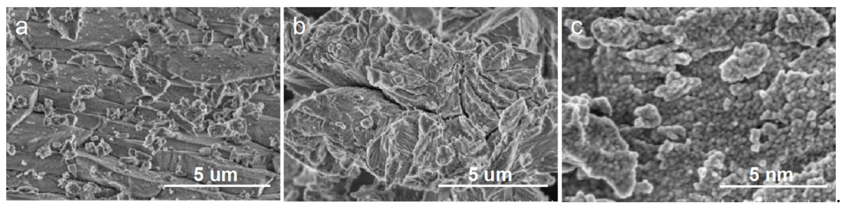 Ijerph 19 14835 g002