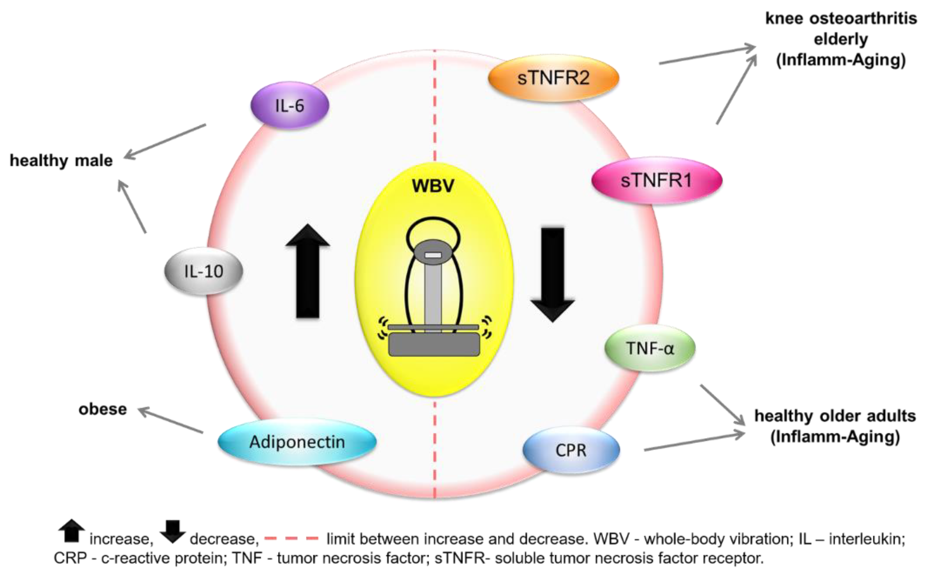 Ijerph 19 14853 g003