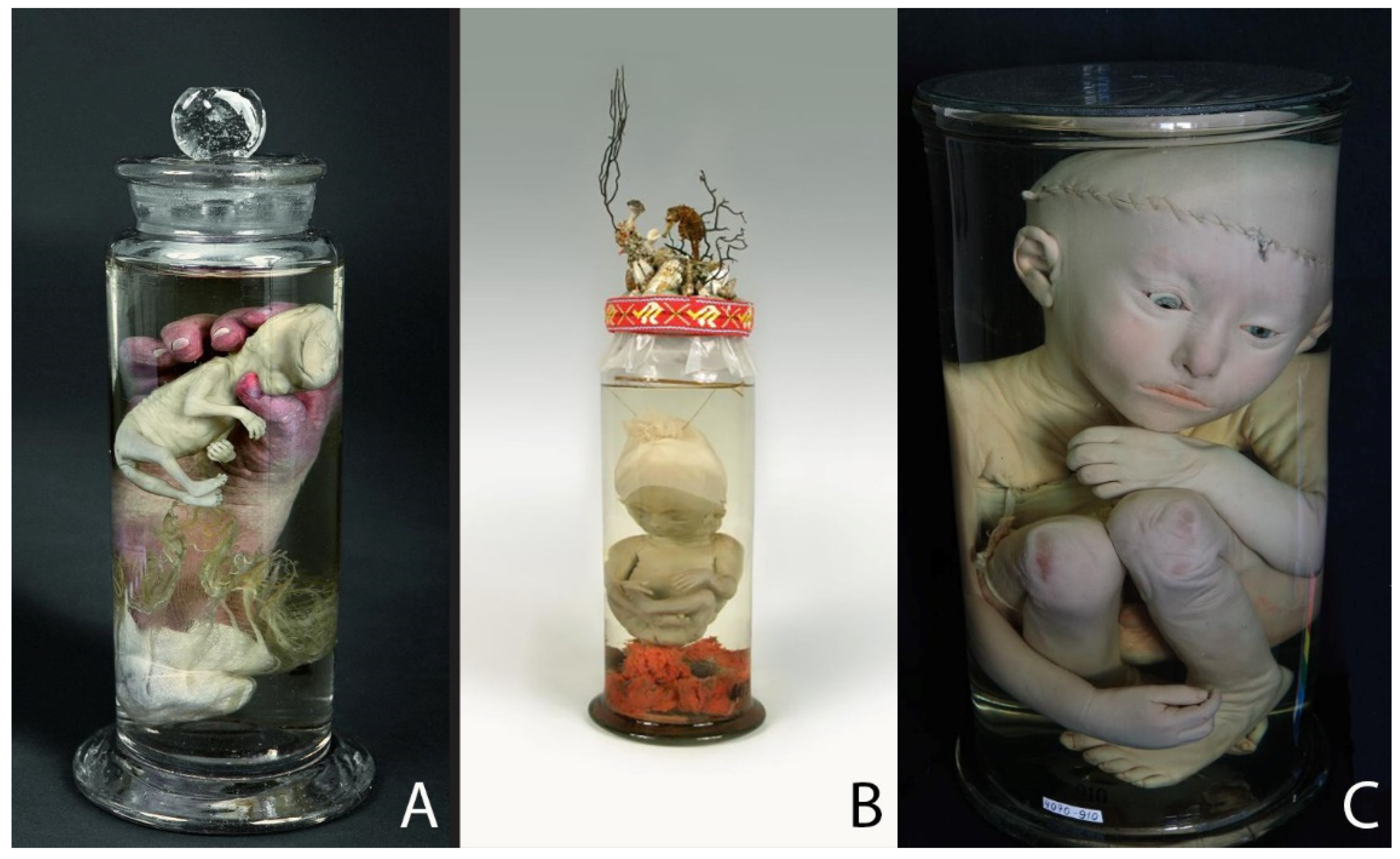 Ijerph 19 14896 g001