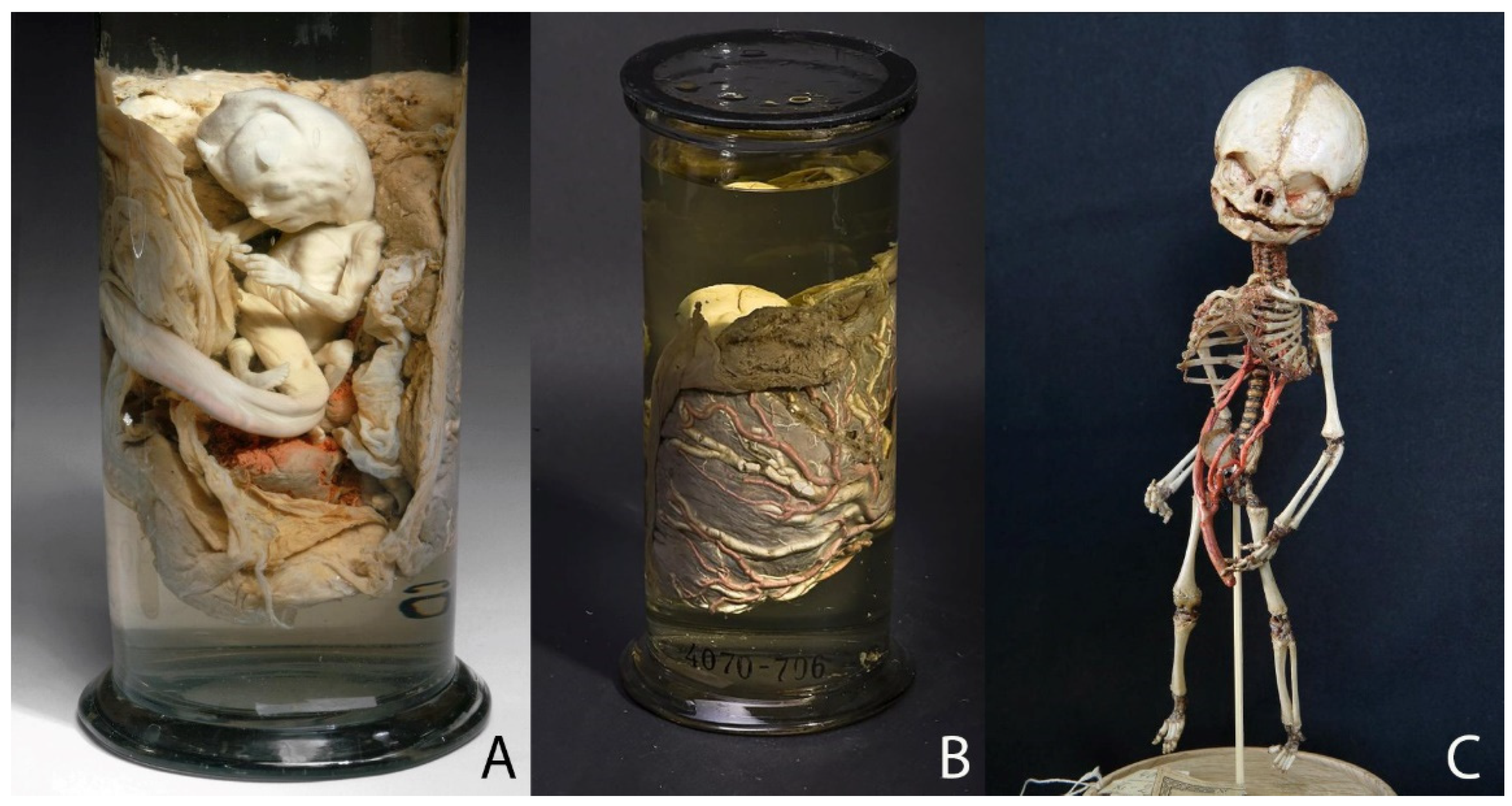 Ijerph 19 14896 g003