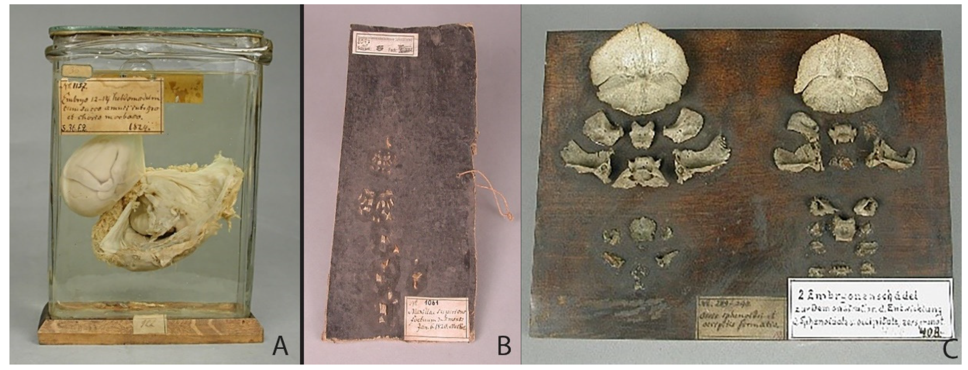 Ijerph 19 14896 g006