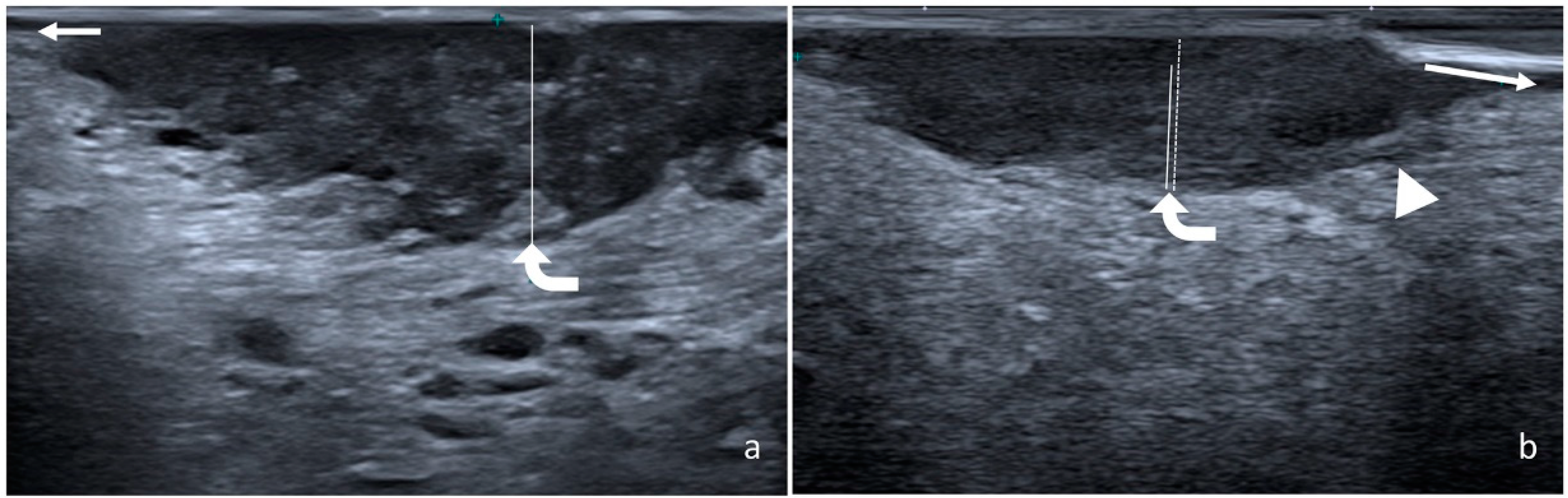 Ijerph 19 14900 g002 Ijerph 19 14900 g002