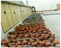 Ijerph 19 14902 i007 Ijerph 19 14902 i007