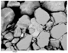 Ijerph 19 14902 i008 Ijerph 19 14902 i008