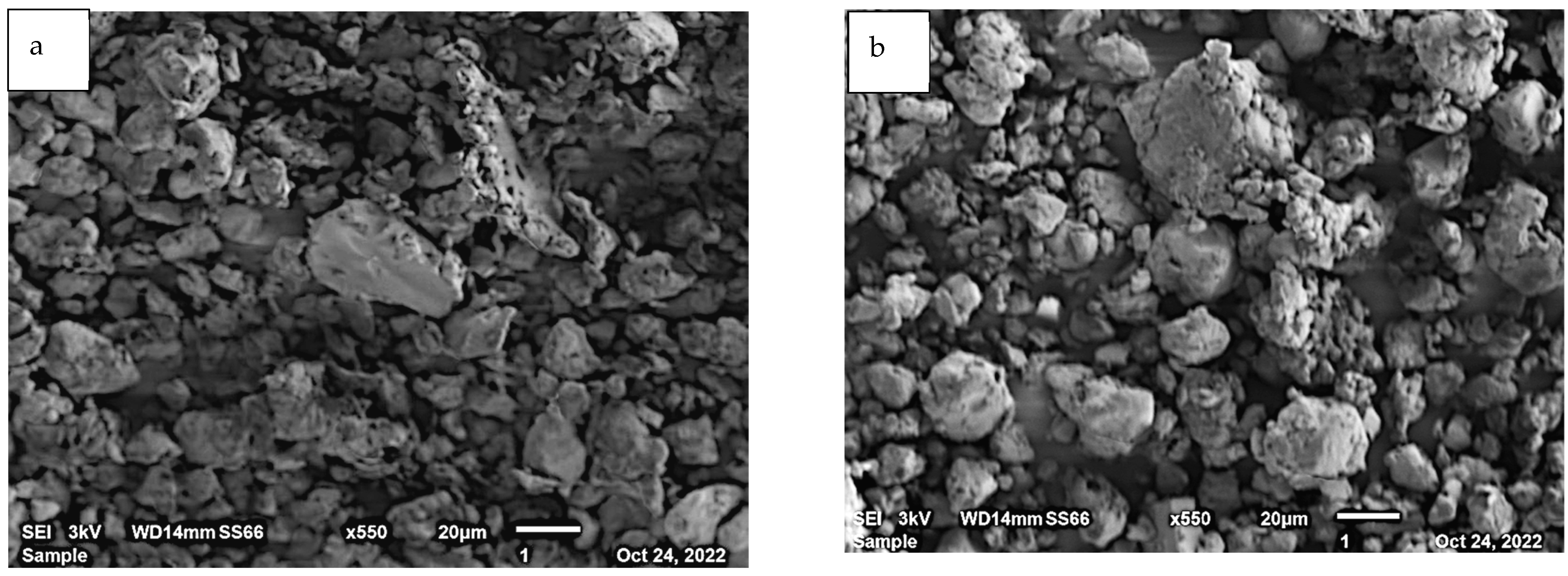 Ijerph 19 14922 g003