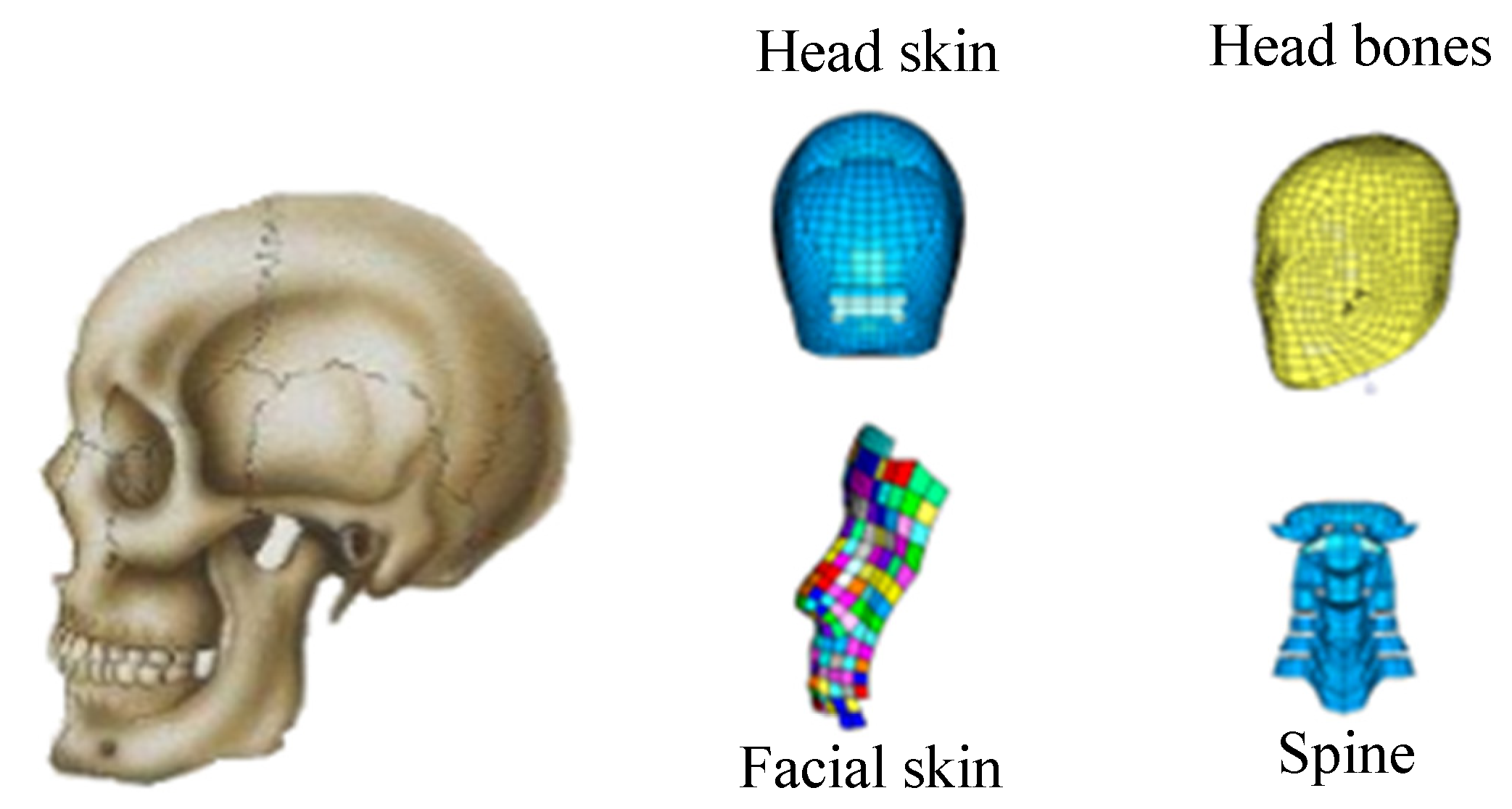 Ijerph 19 14950 g004