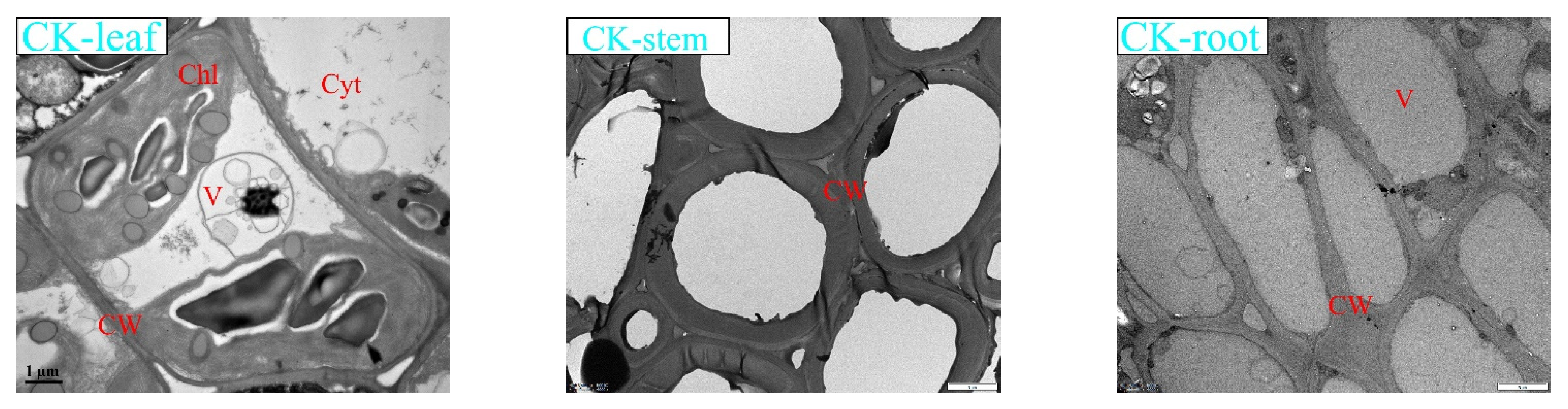 Ijerph 19 14968 g004a Ijerph 19 14968 g004a