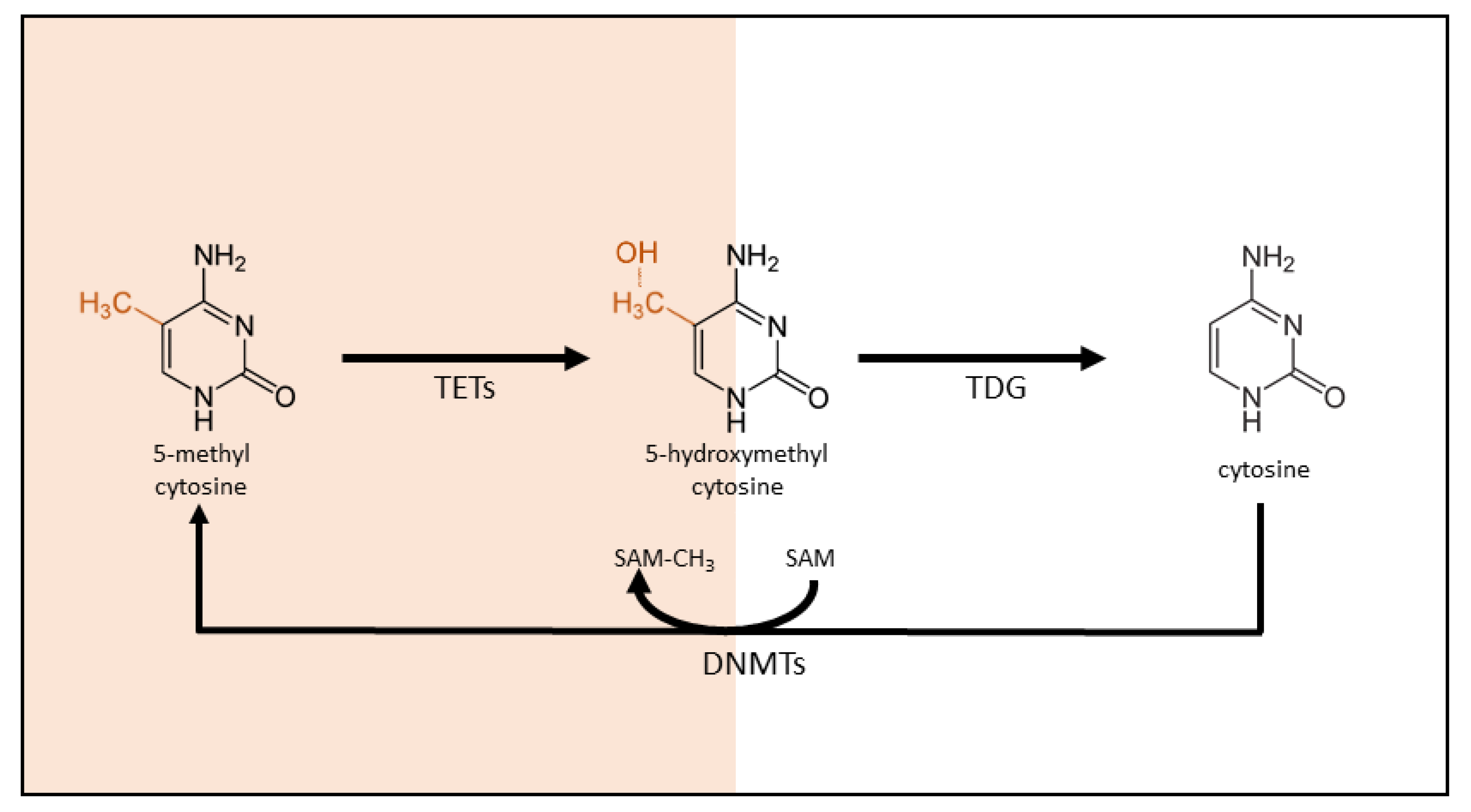 Ijerph 19 15050 g001 Ijerph 19 15050 g001
