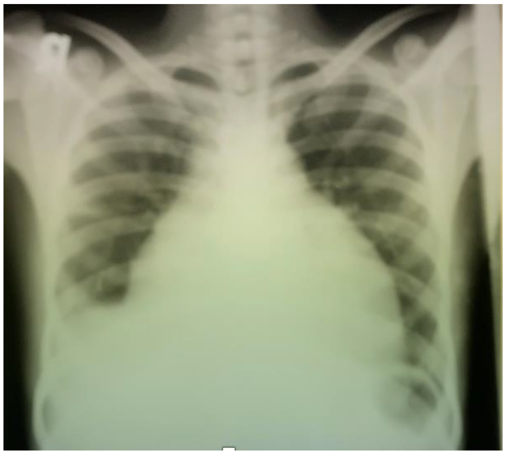 Ijerph 19 15143 g001 Ijerph 19 15143 g001