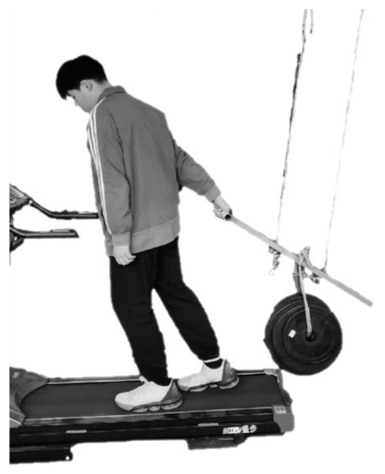 Ijerph 19 15159 g001 Ijerph 19 15159 g001