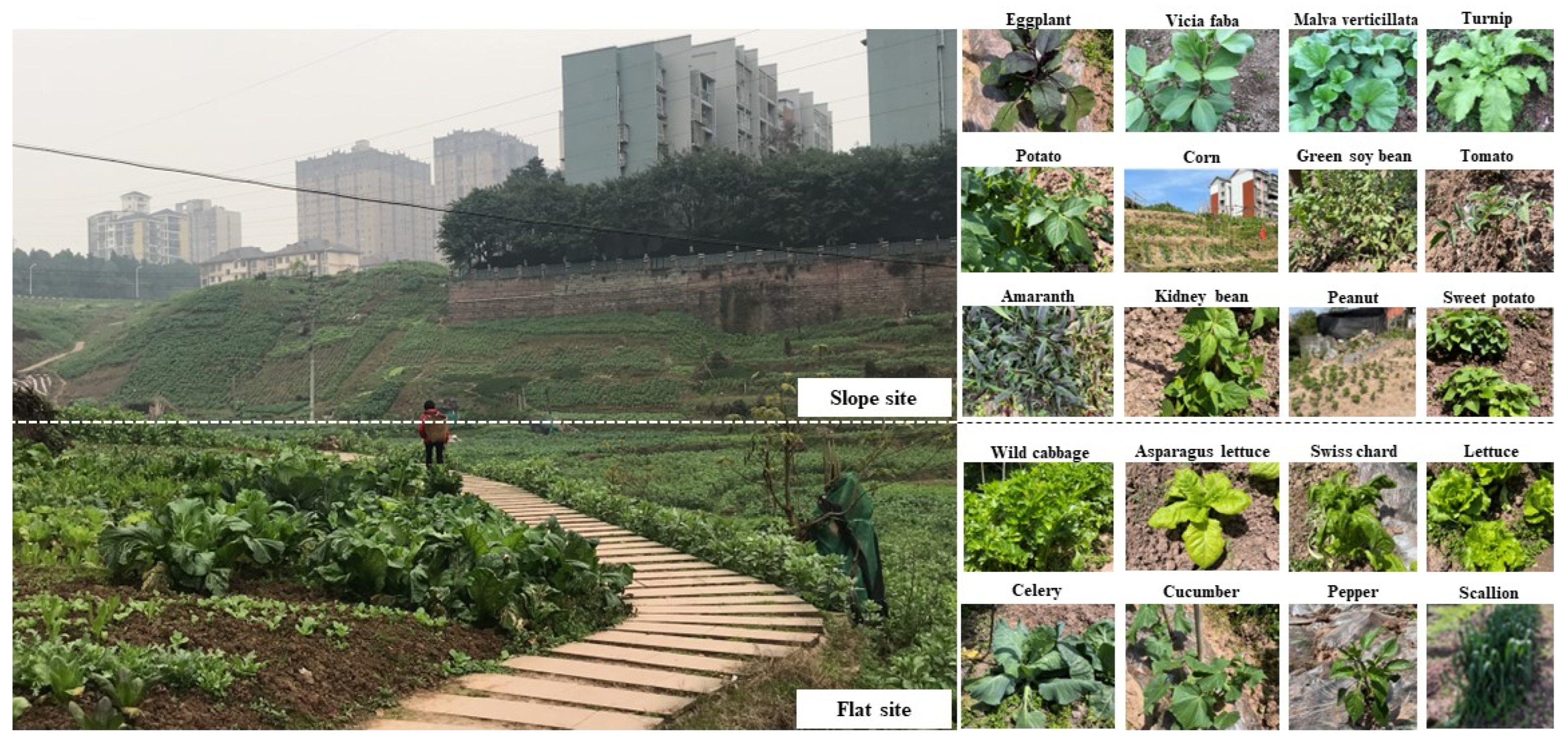 Ijerph 19 15178 g005