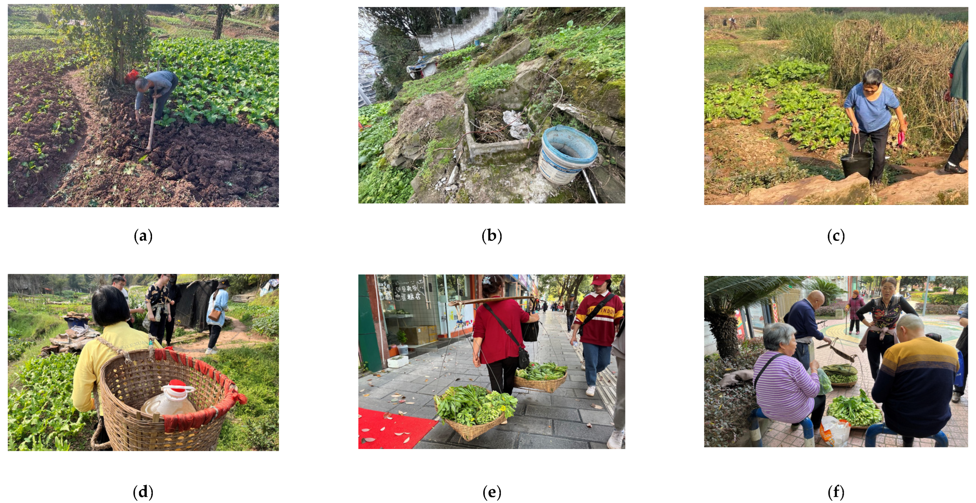 Ijerph 19 15178 g006