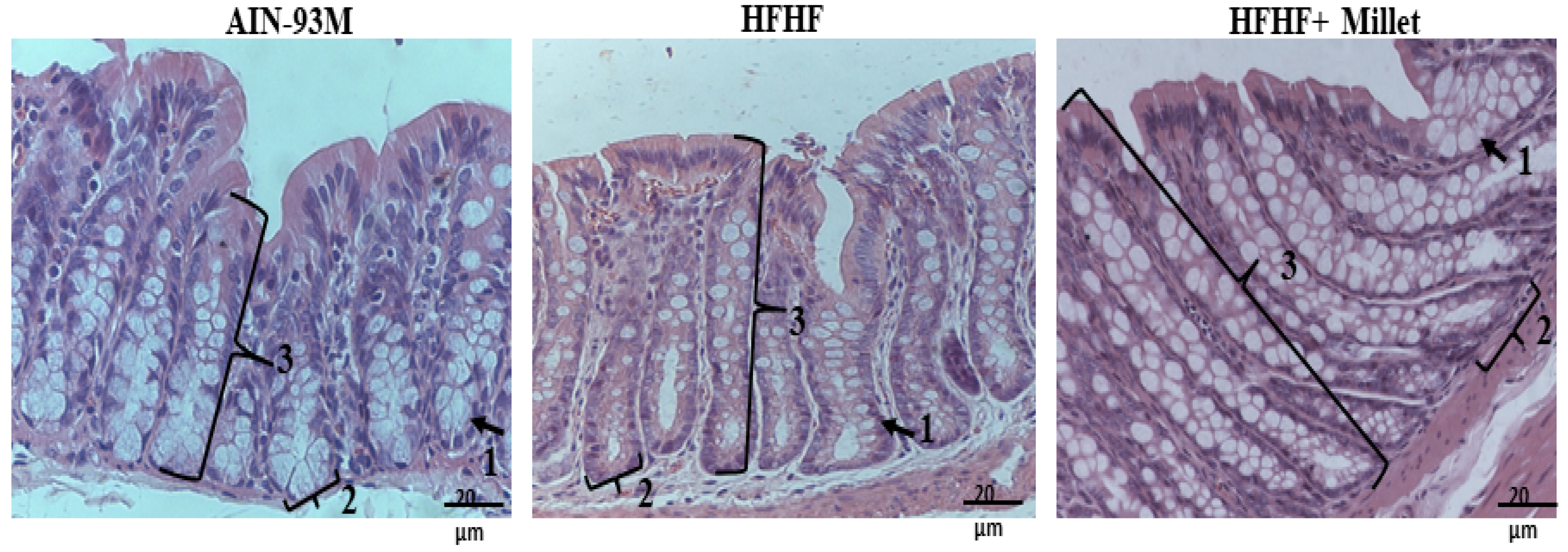 Ijerph 19 15217 g002