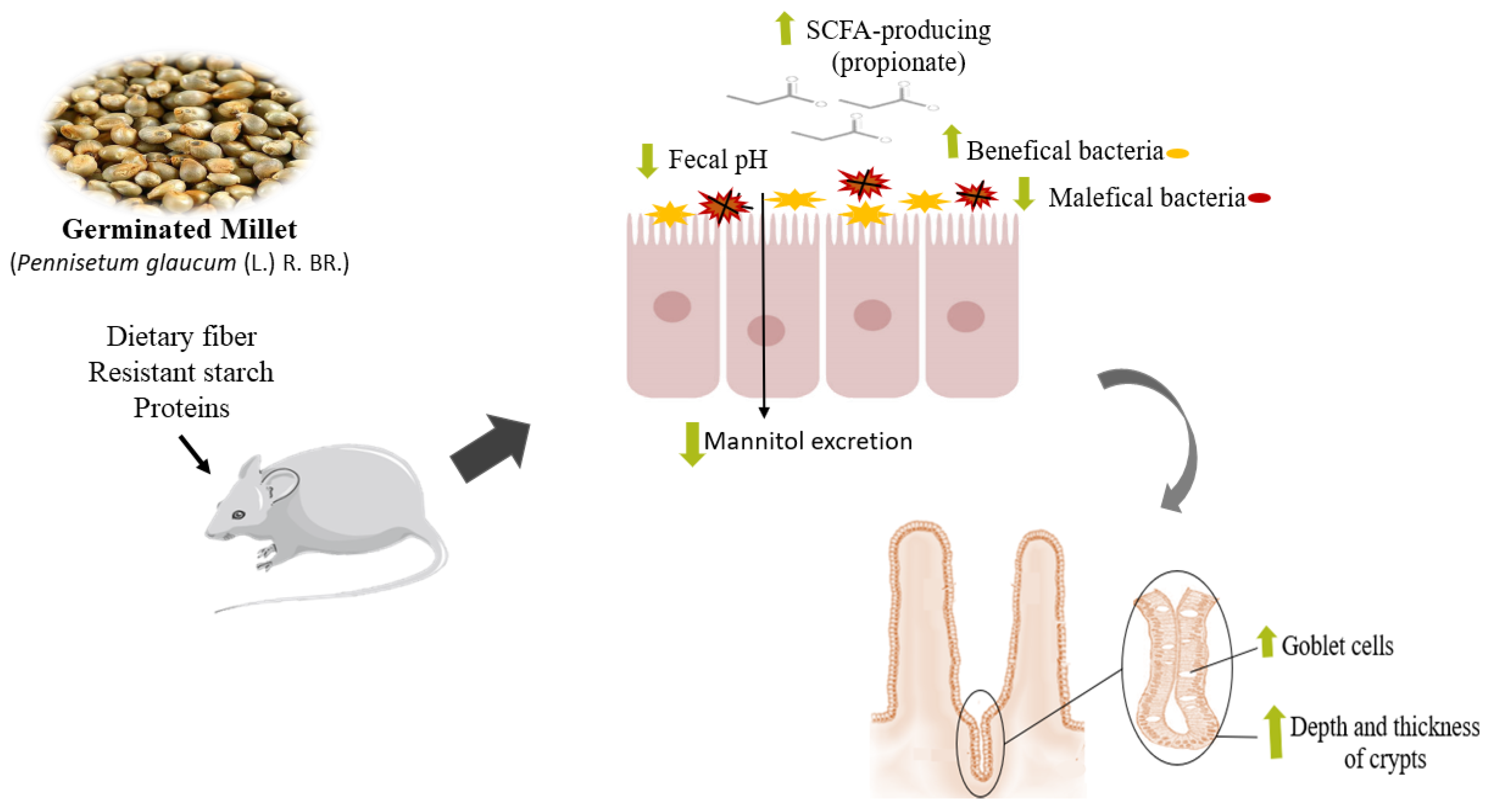 Ijerph 19 15217 g007