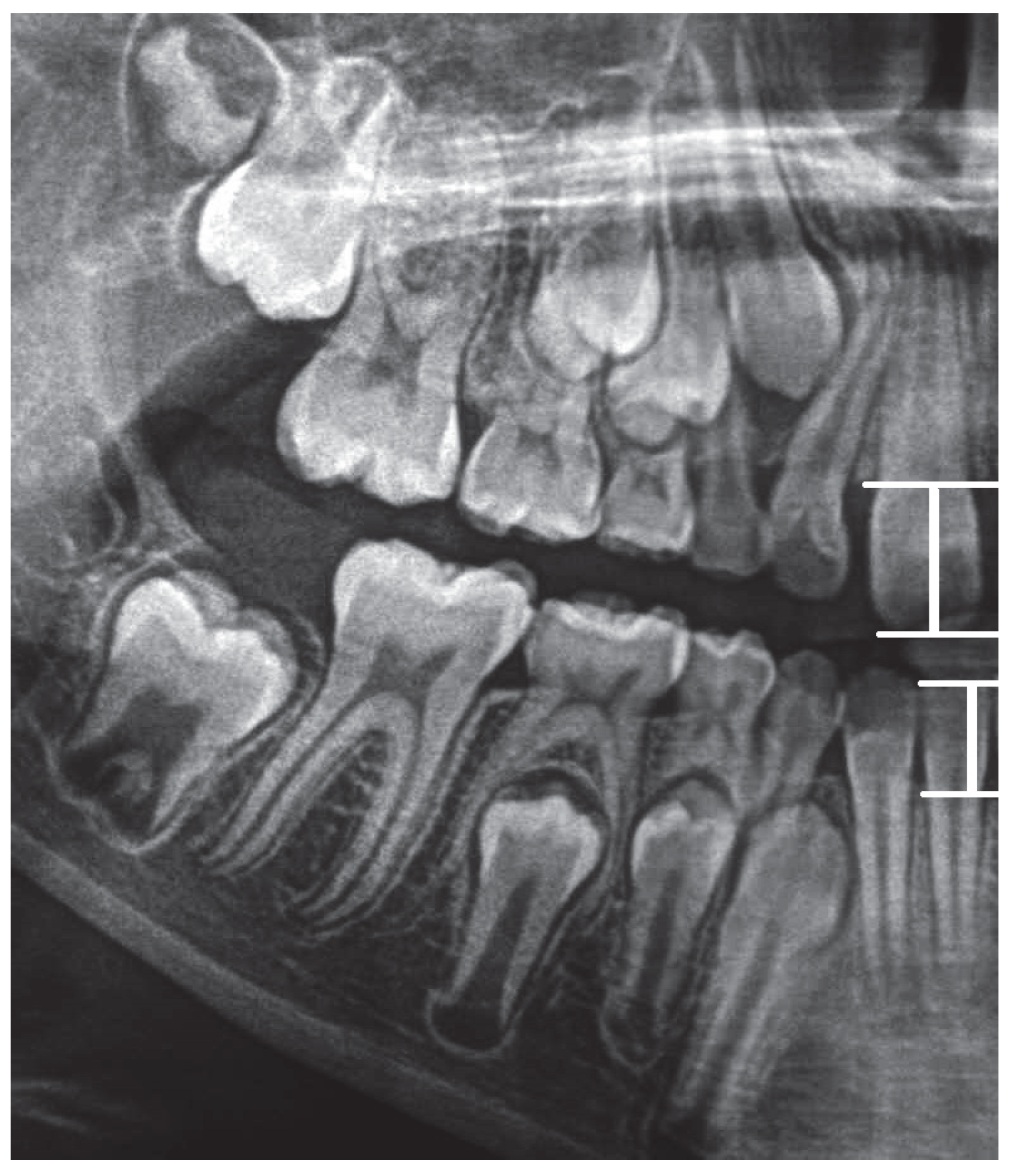 Ijerph 19 15240 g002 Ijerph 19 15240 g002