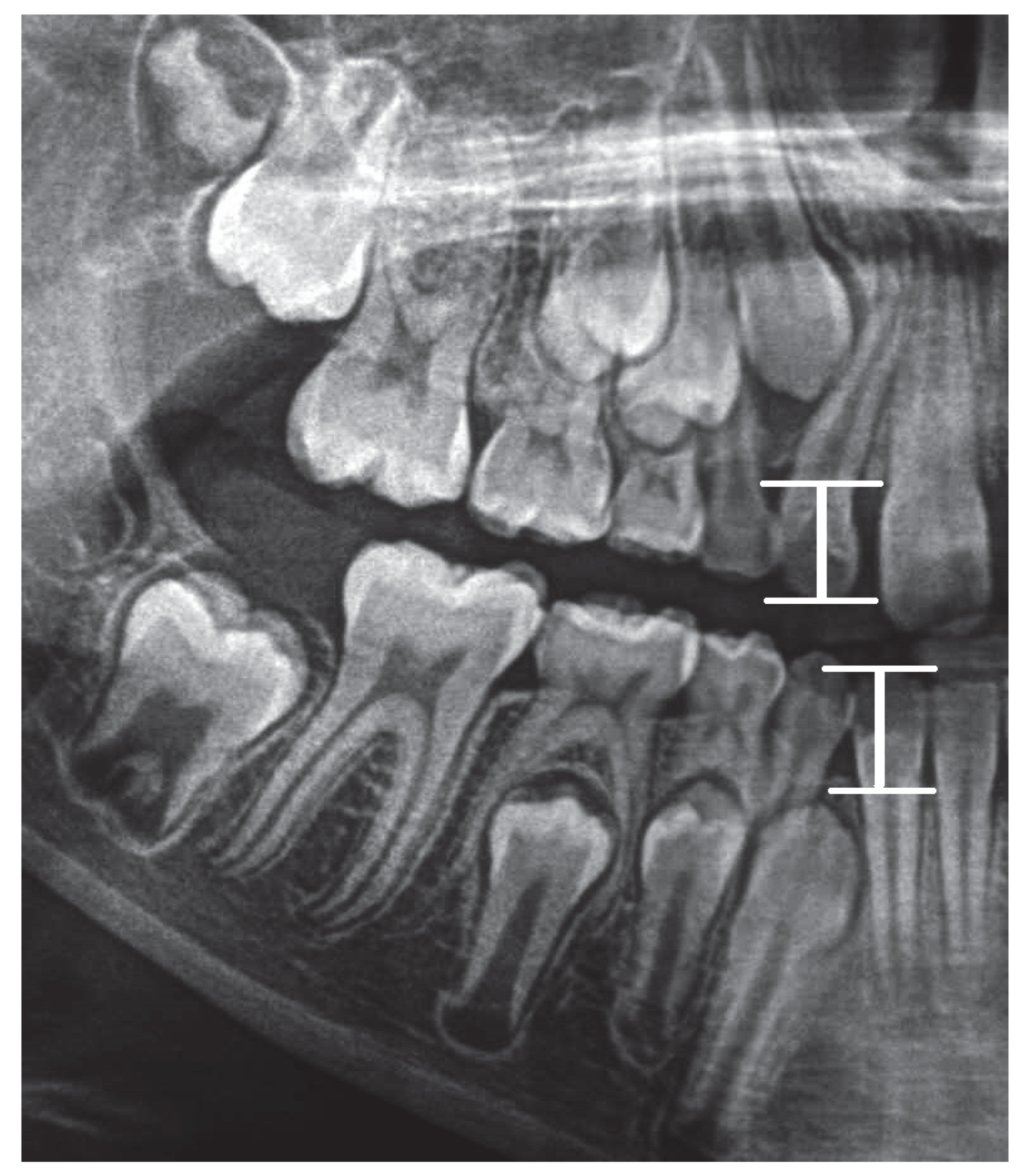 Ijerph 19 15240 g003 Ijerph 19 15240 g003