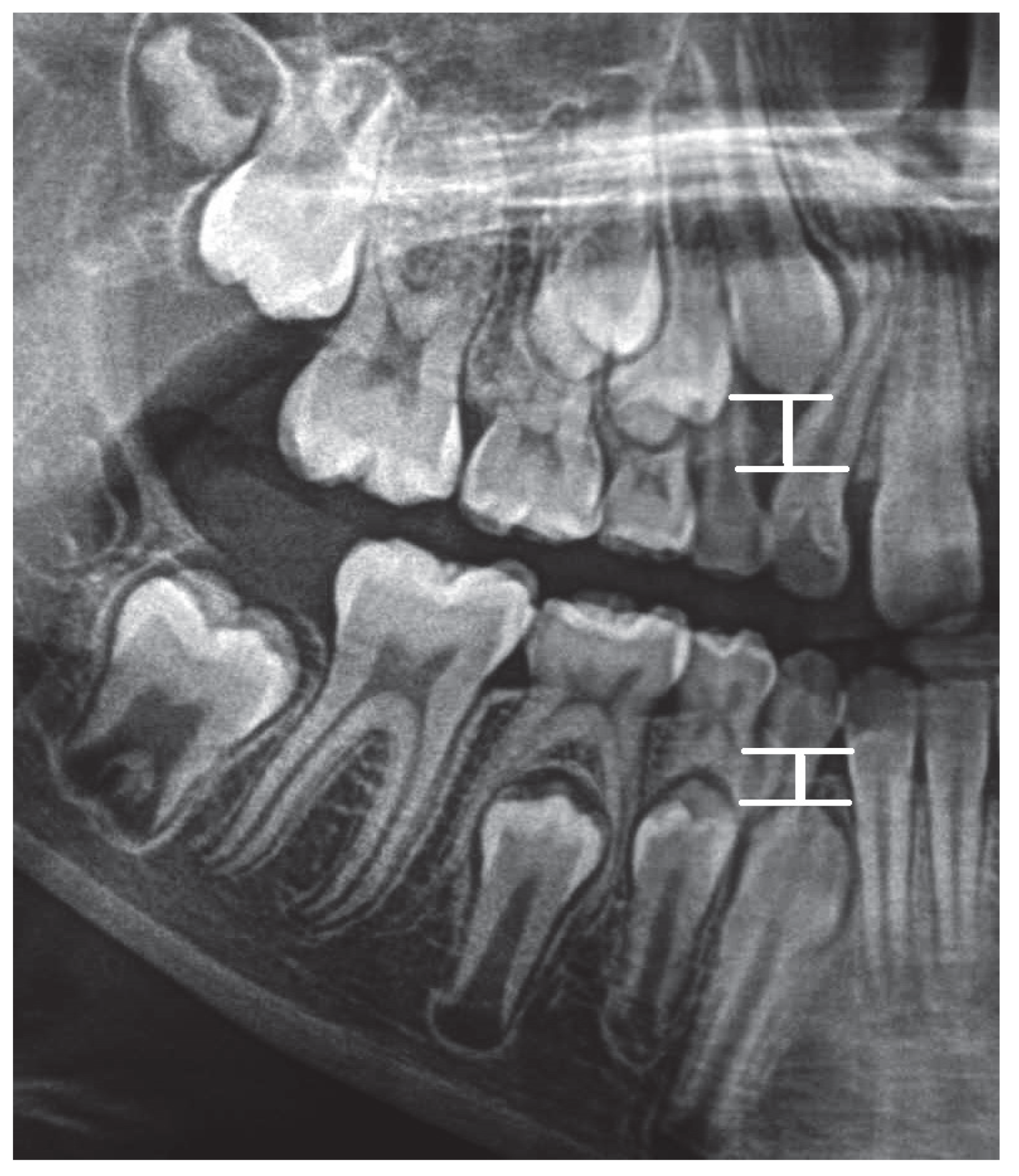 Ijerph 19 15240 g004 Ijerph 19 15240 g004