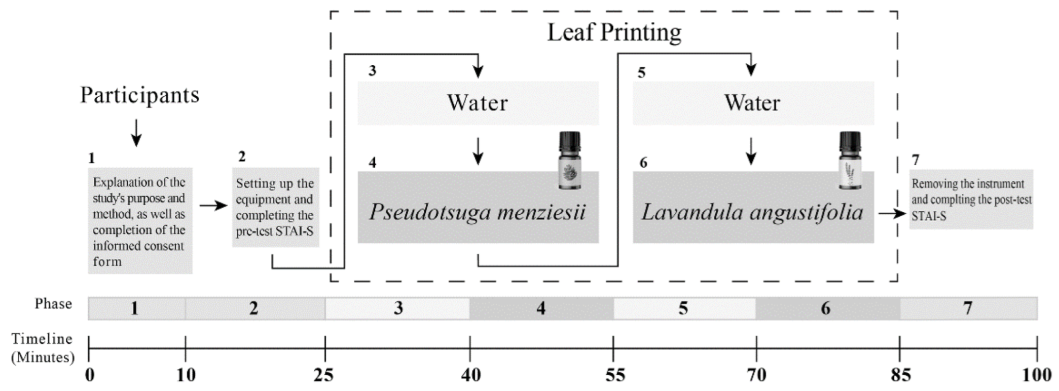 Ijerph 19 15251 g001