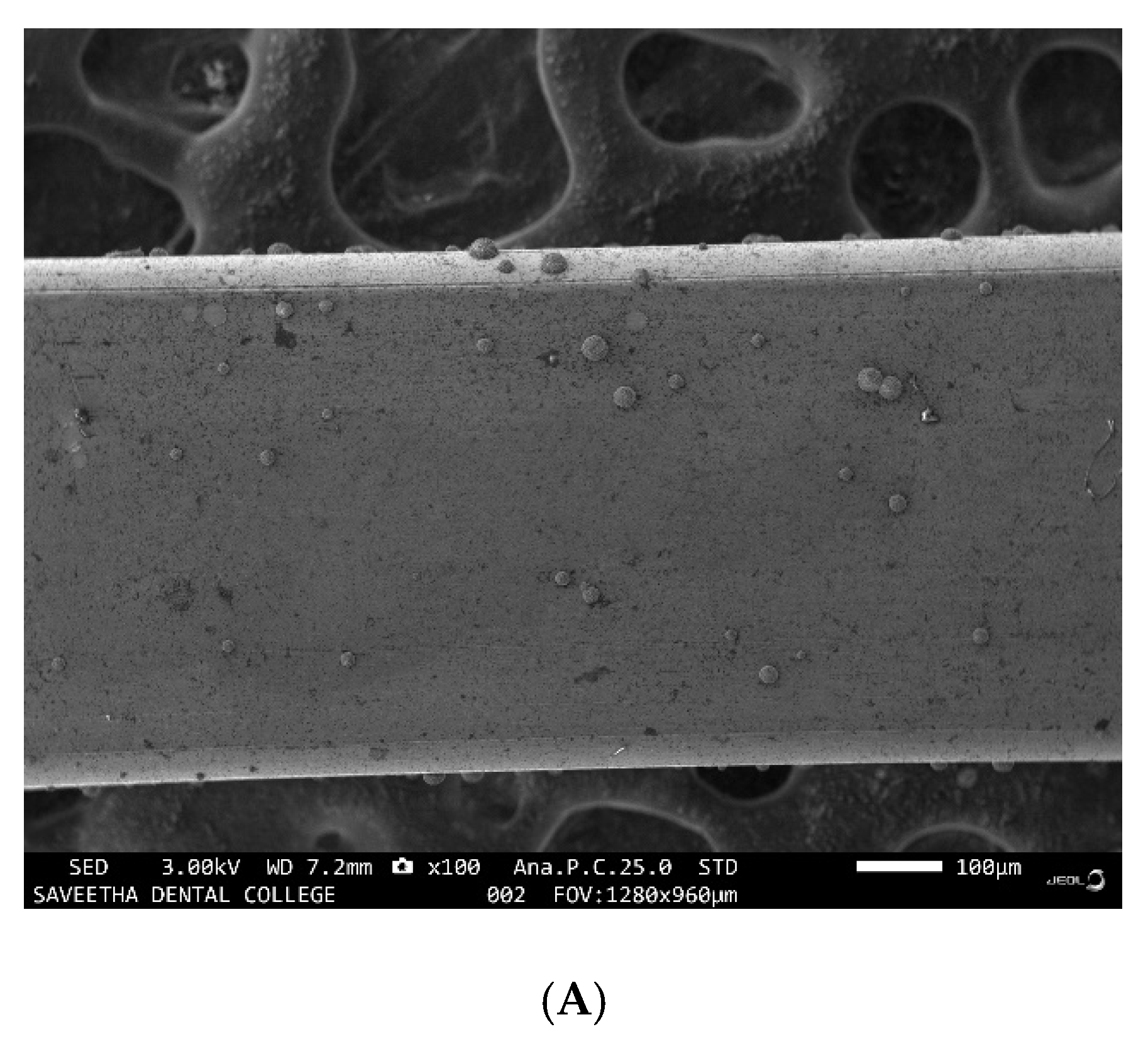 Ijerph 19 15312 g001a