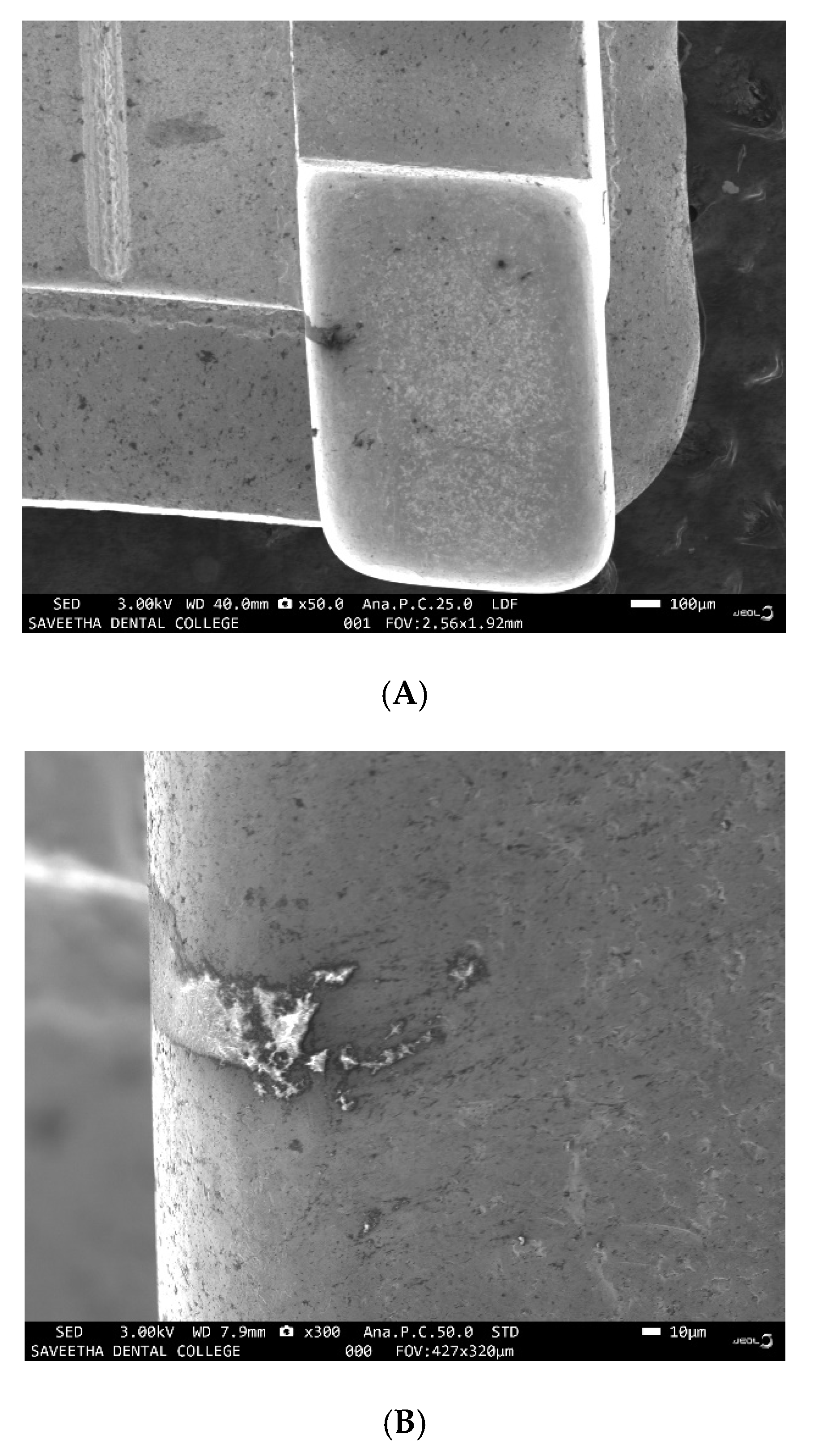 Ijerph 19 15312 g002