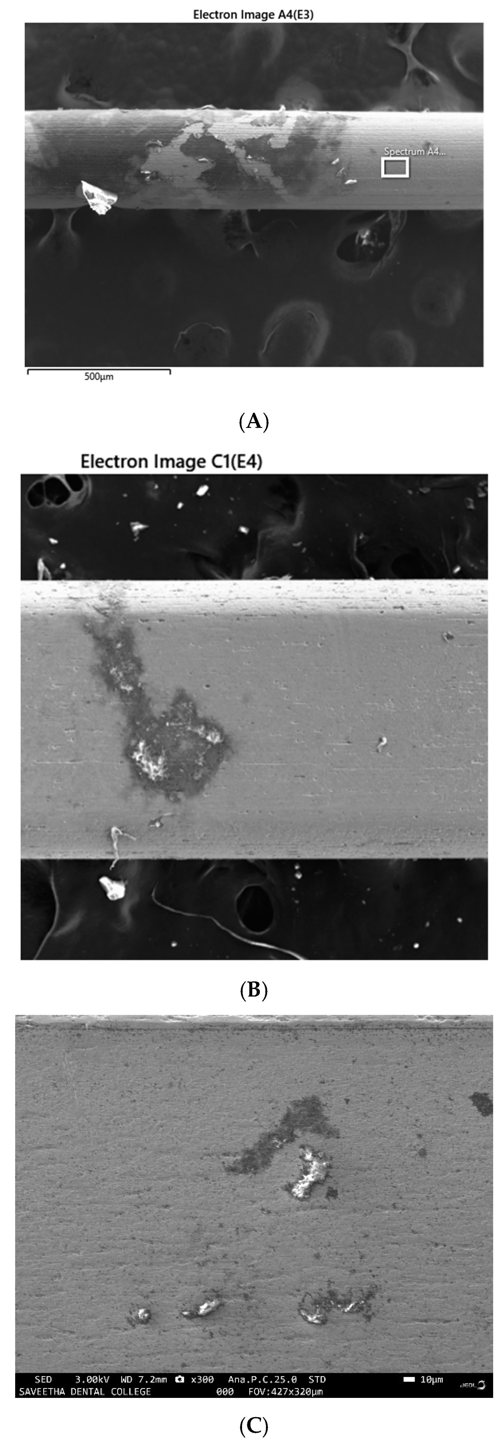 Ijerph 19 15312 g003a