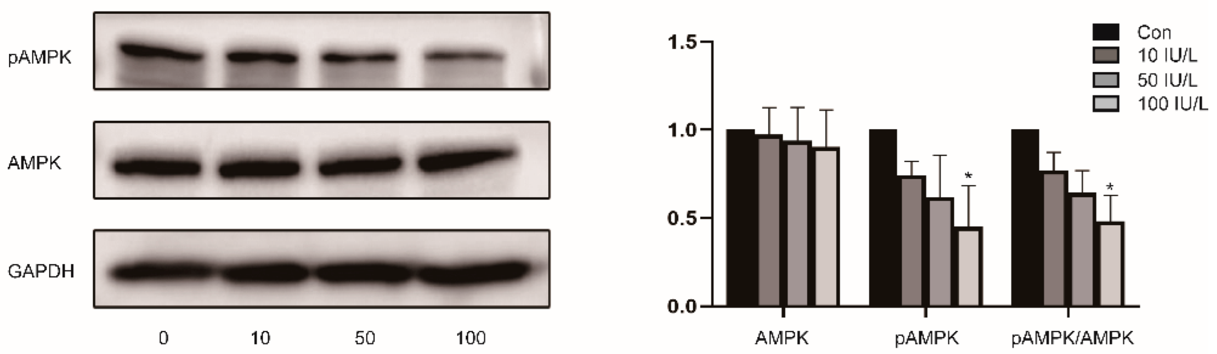 Ijerph 19 15344 g003