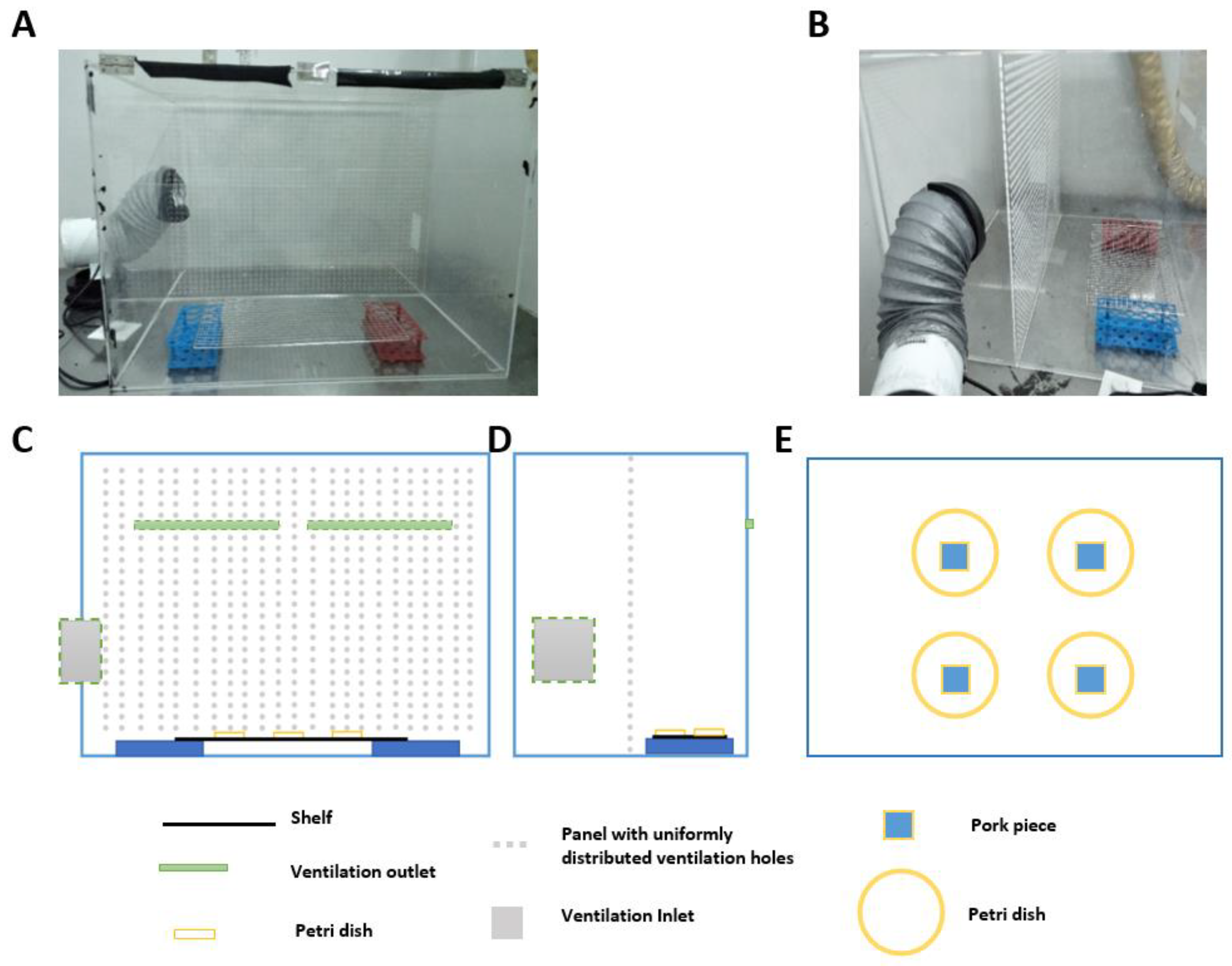 Ijerph 19 15345 g001 Ijerph 19 15345 g001