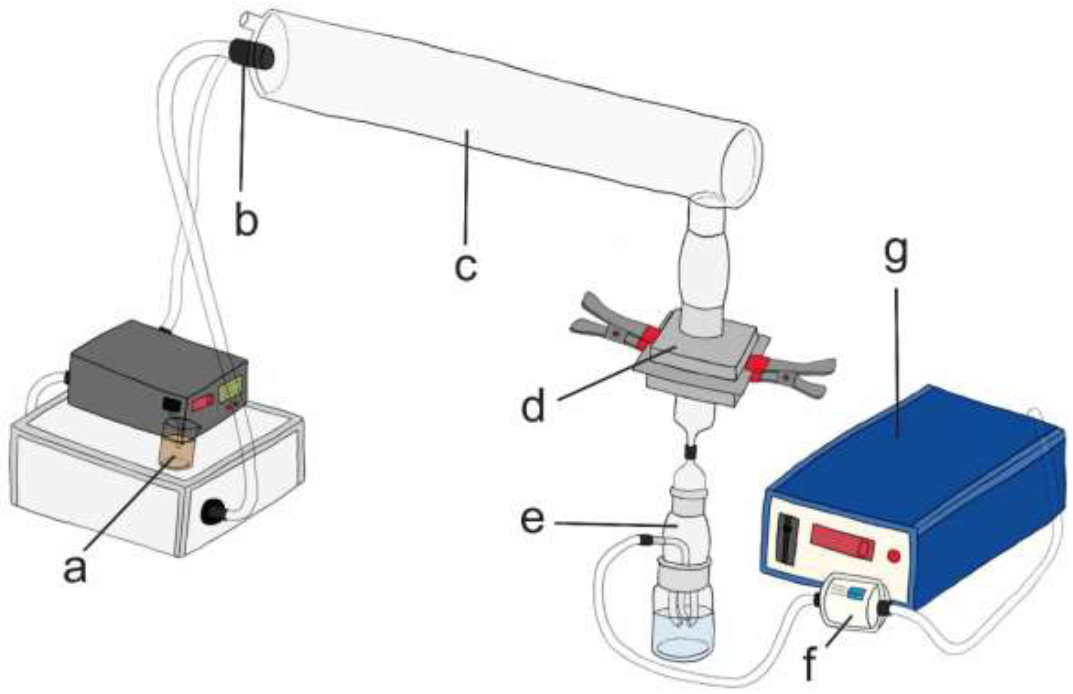 Ijerph 19 15353 g002