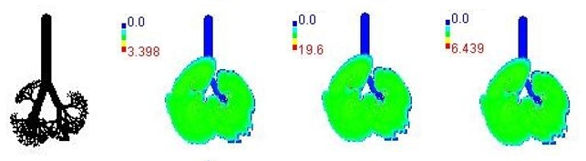 Ijerph 19 15387 i005 Ijerph 19 15387 i005