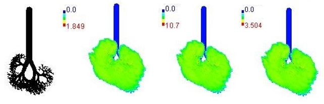 Ijerph 19 15387 i006 Ijerph 19 15387 i006