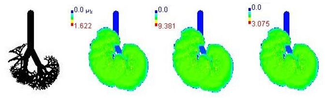 Ijerph 19 15387 i007 Ijerph 19 15387 i007