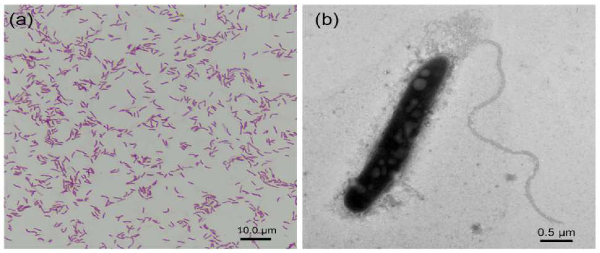 Ijerph 19 15416 g001