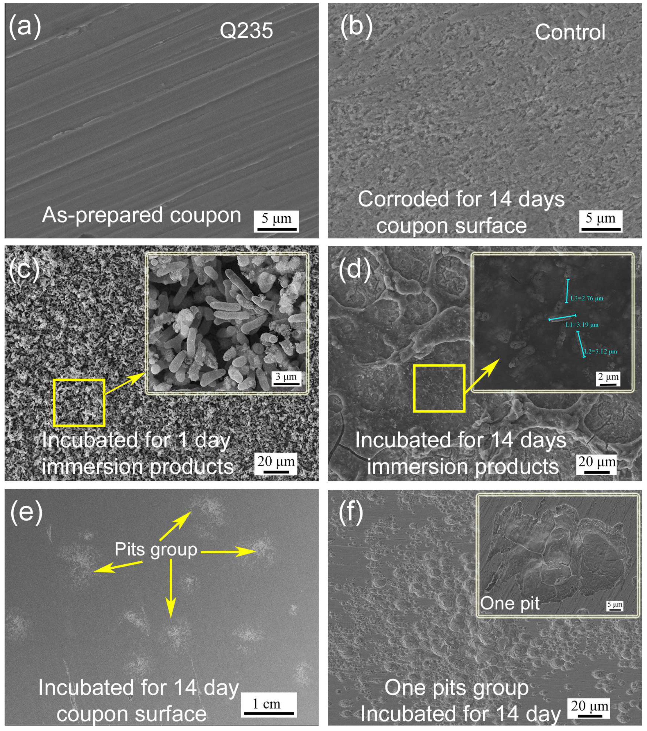 Ijerph 19 15416 g002
