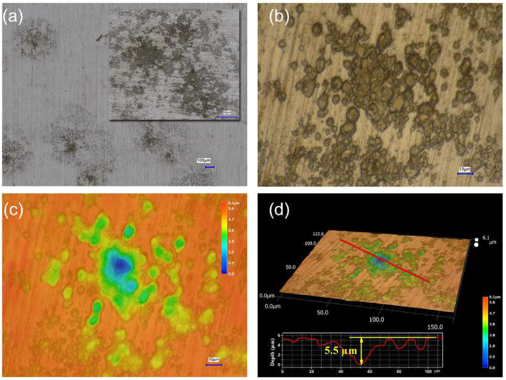 Ijerph 19 15416 g003