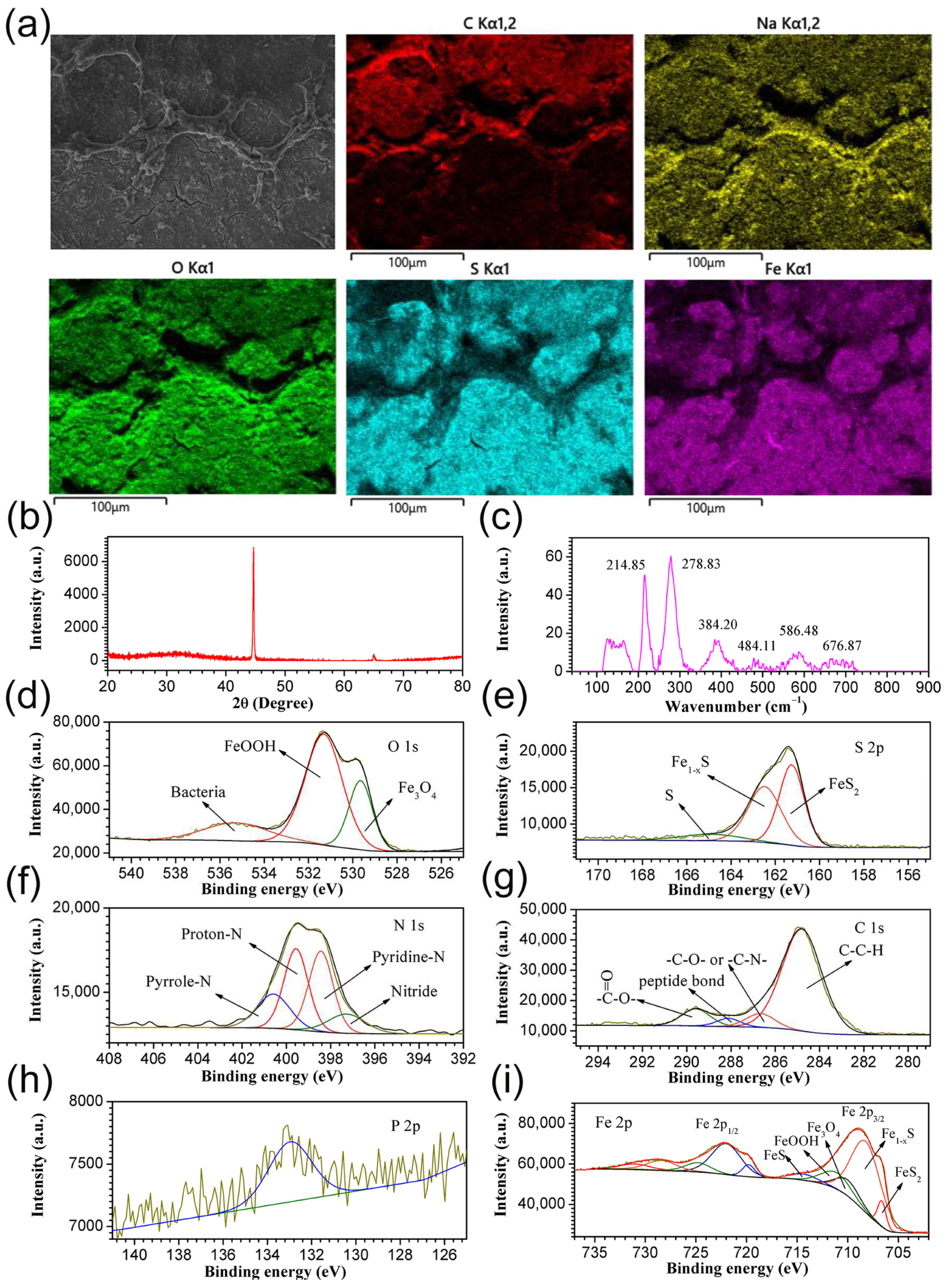 Ijerph 19 15416 g004