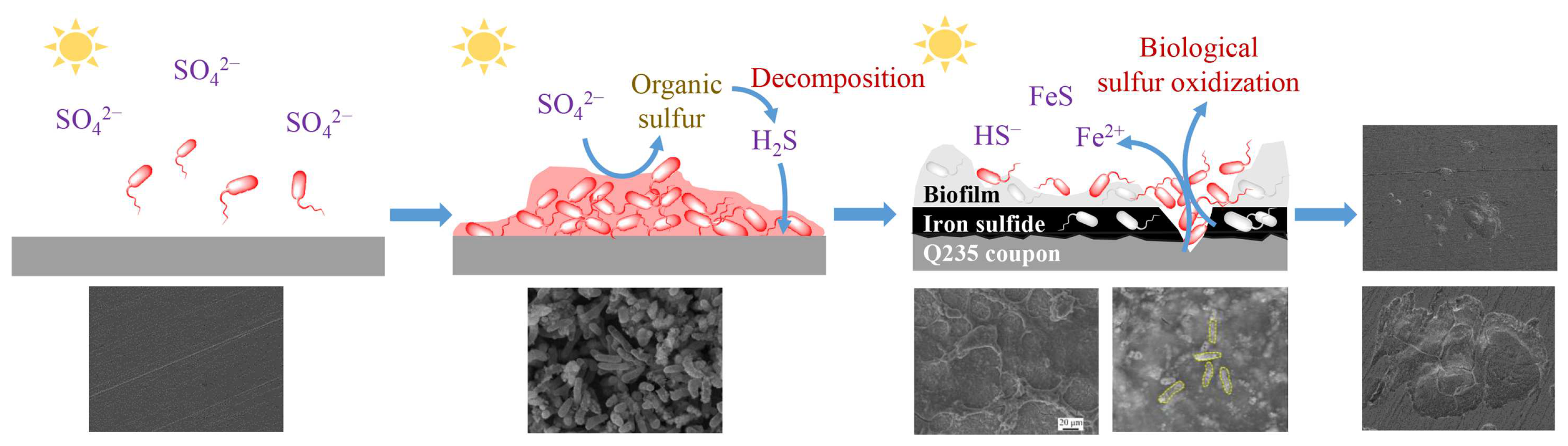 Ijerph 19 15416 g007