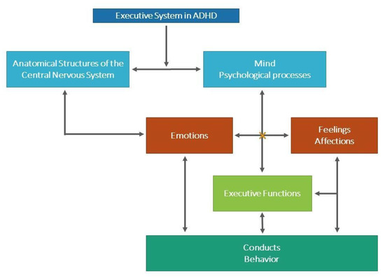 The Blunder of Emotional Reasoning - Pacific CBT