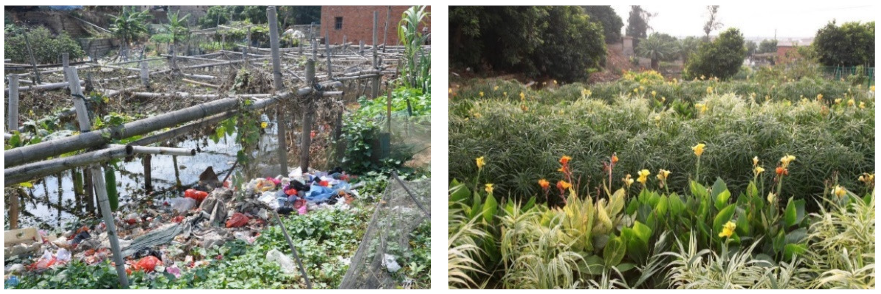 Ijerph 19 15440 g008 Ijerph 19 15440 g008