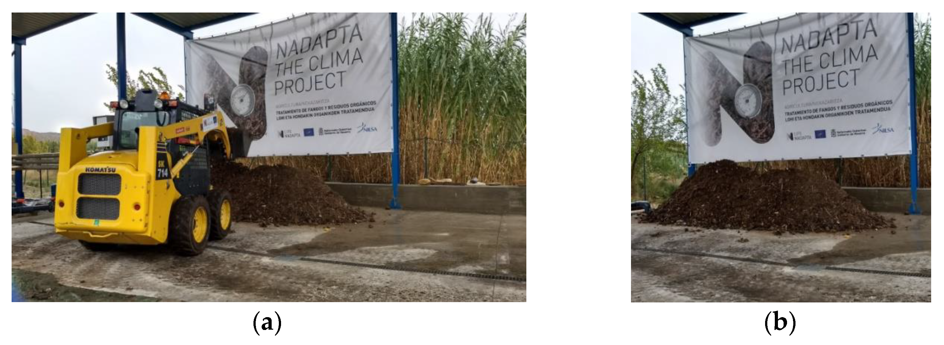 Ijerph 19 15449 g003 550