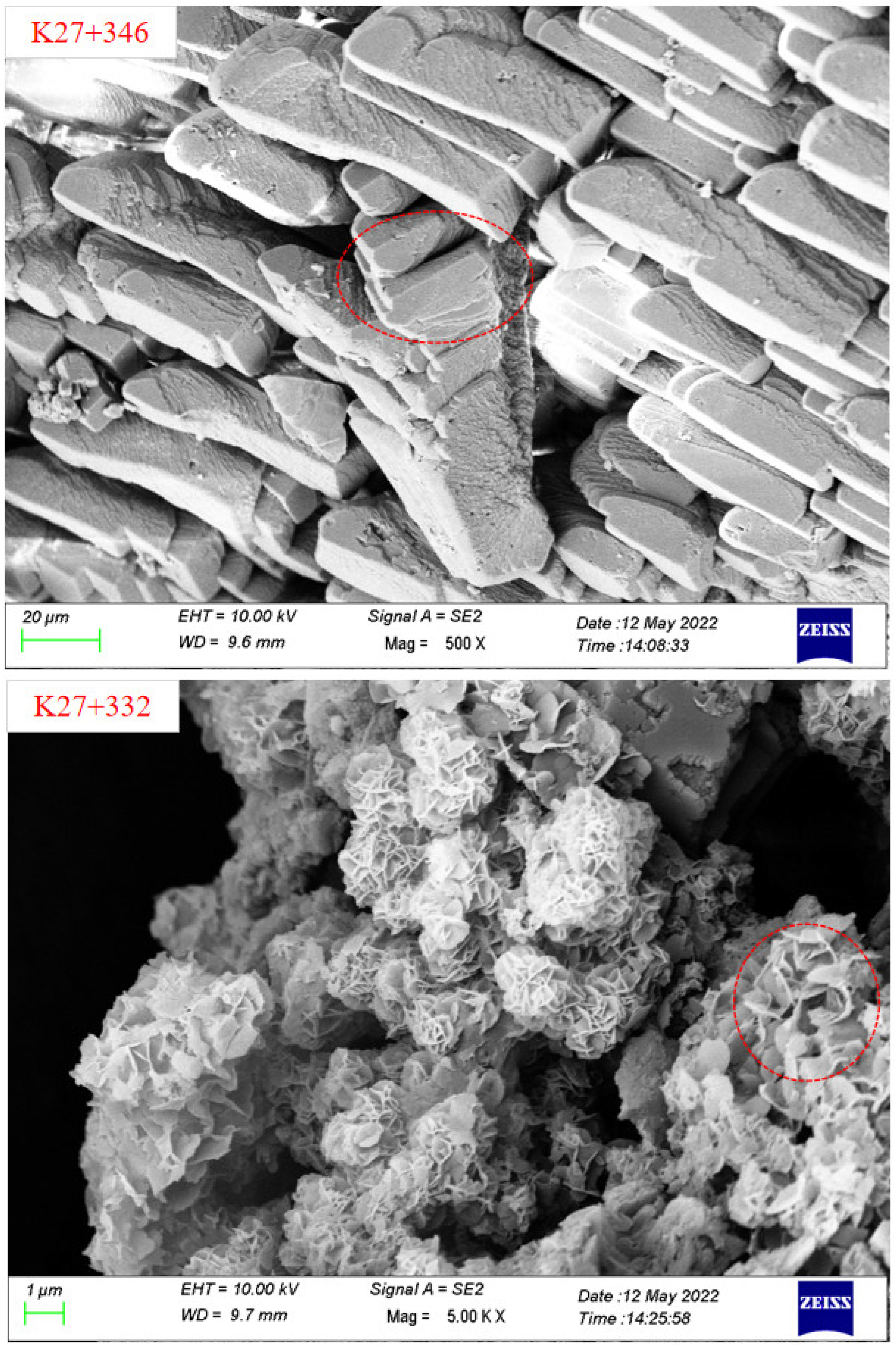 Ijerph 19 15471 g004d Ijerph 19 15471 g004d